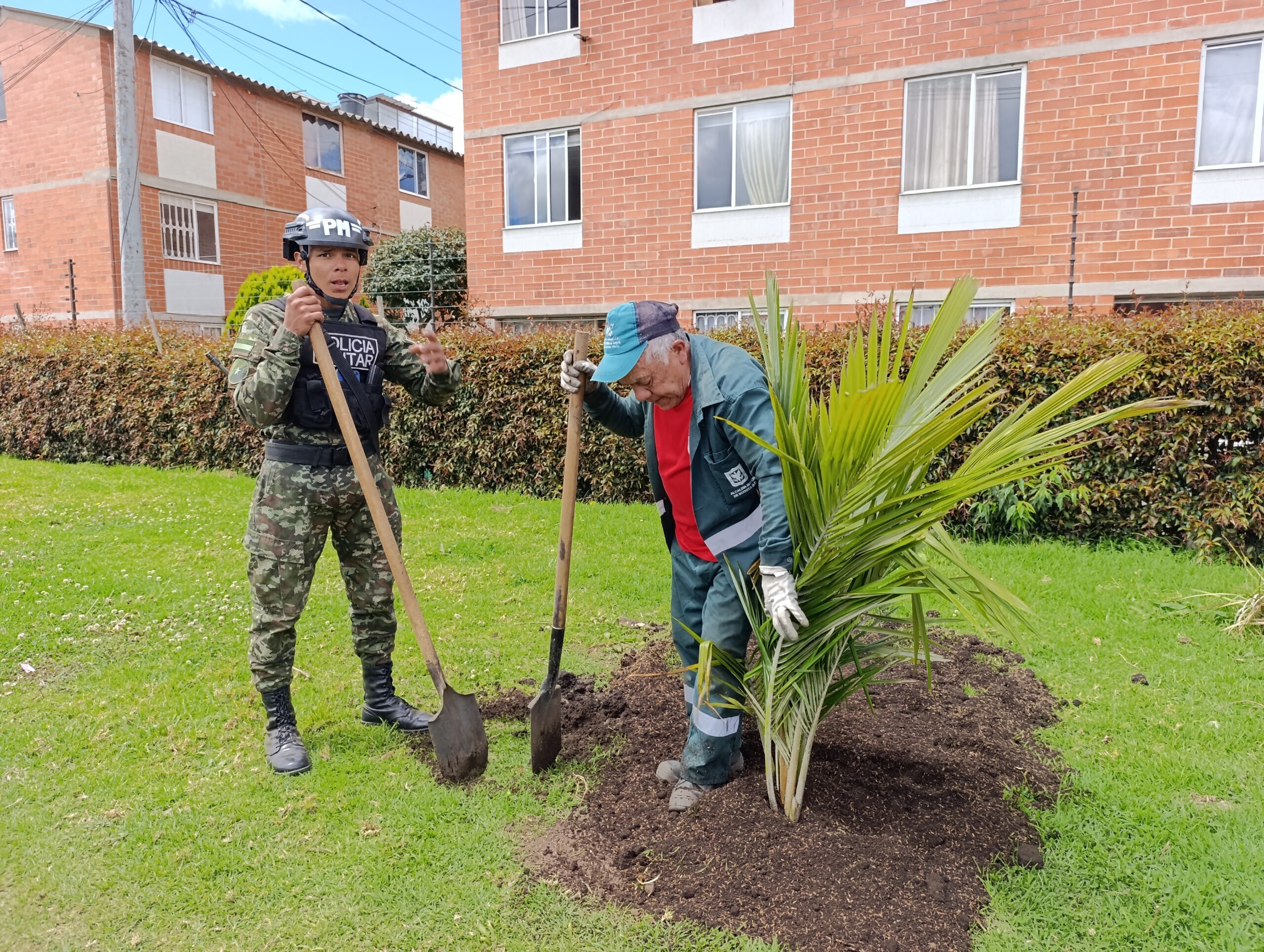 Historias del verde urbano: ¡El símbolo patrio arbóreo de Colombia llegó a Camino Verde!