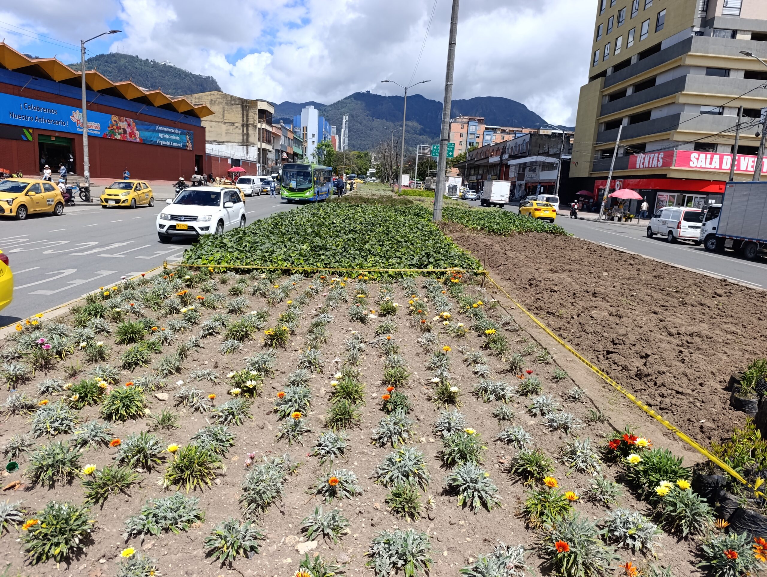 Historias del verde urbano: La jardinera de Paloquemao sigue recuperando sus colores