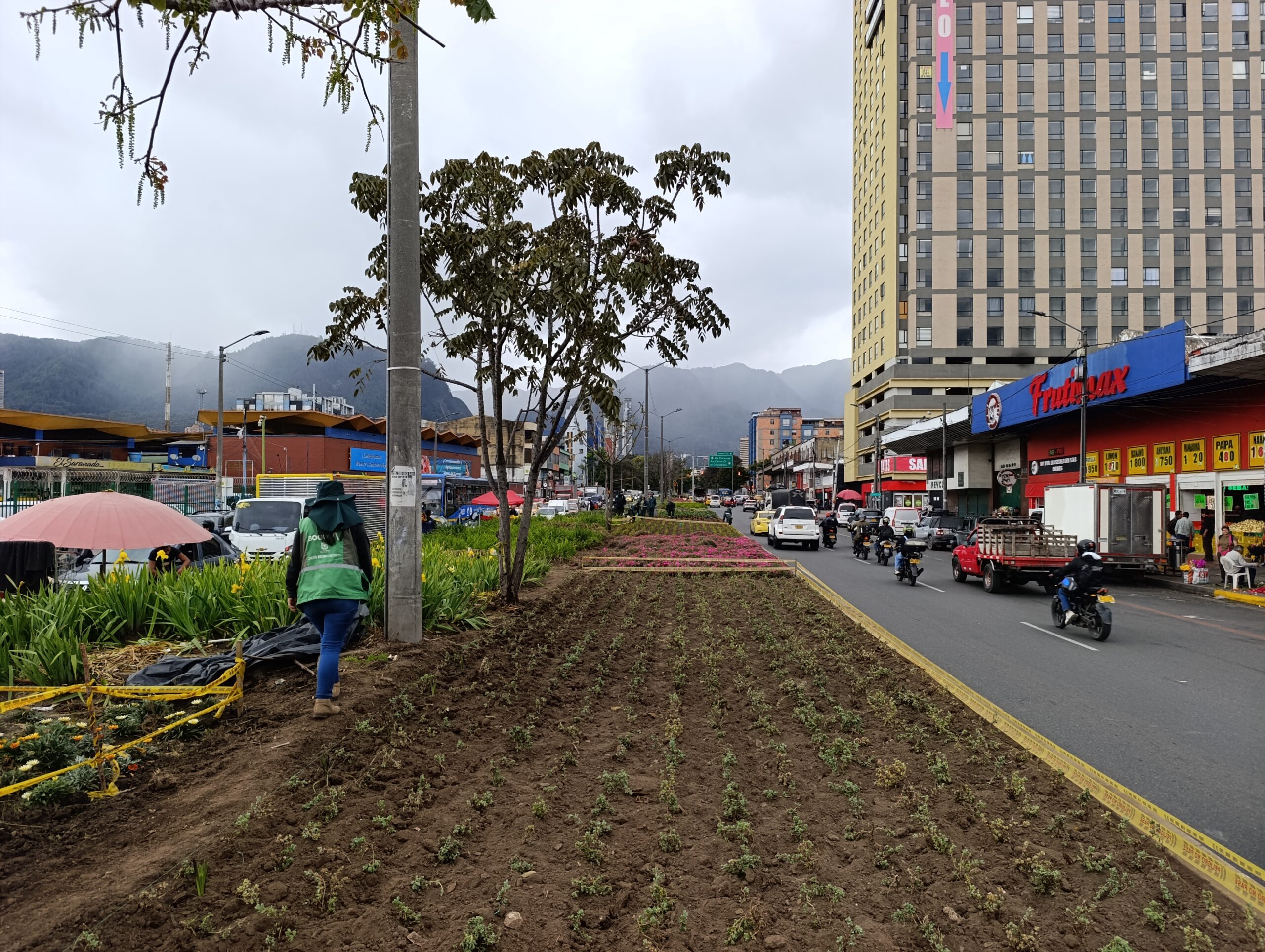 Historias del verde urbano: La jardinera de Paloquemao sigue recuperando sus colores