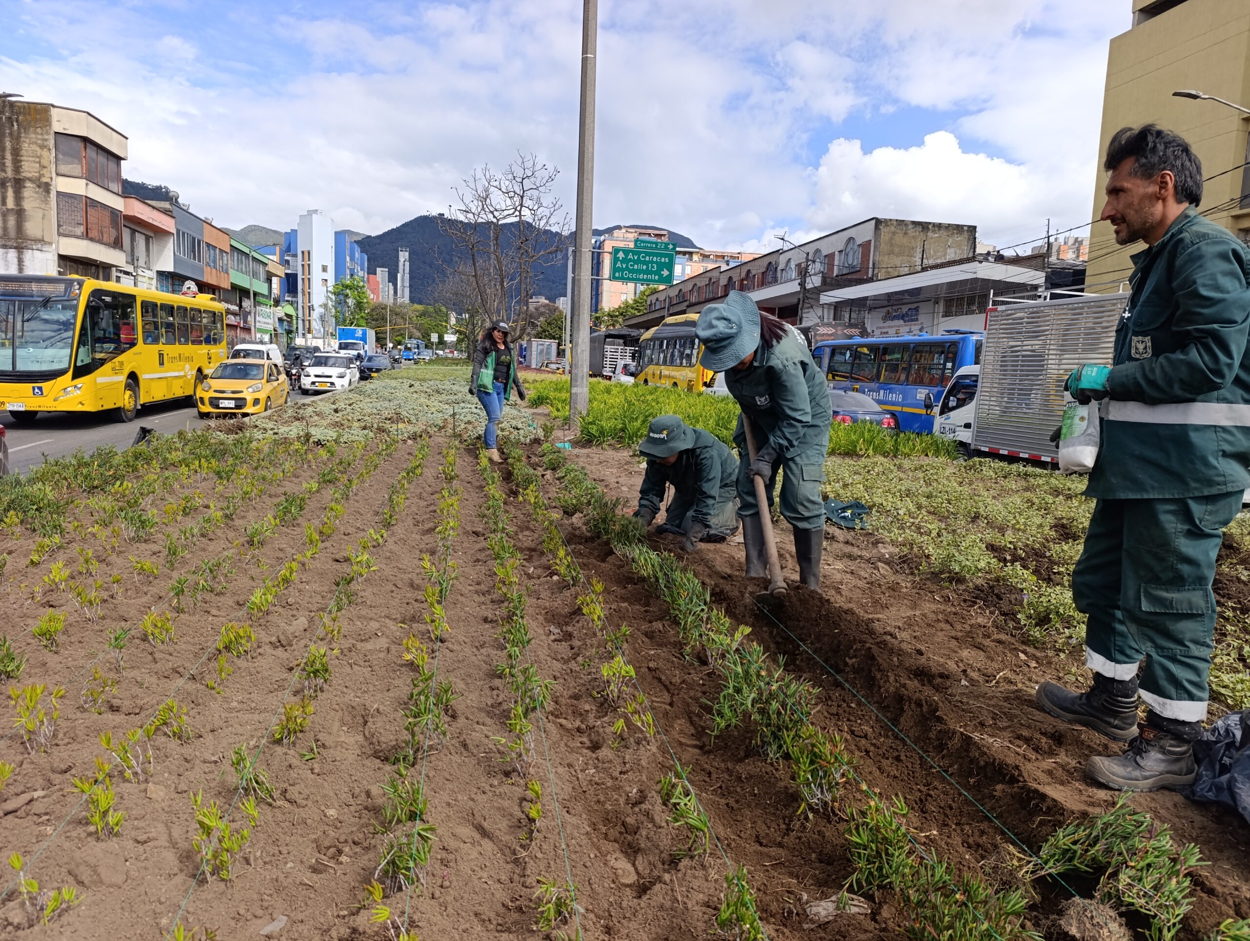 Historias del verde urbano: La jardinera de Paloquemao sigue recuperando sus colores