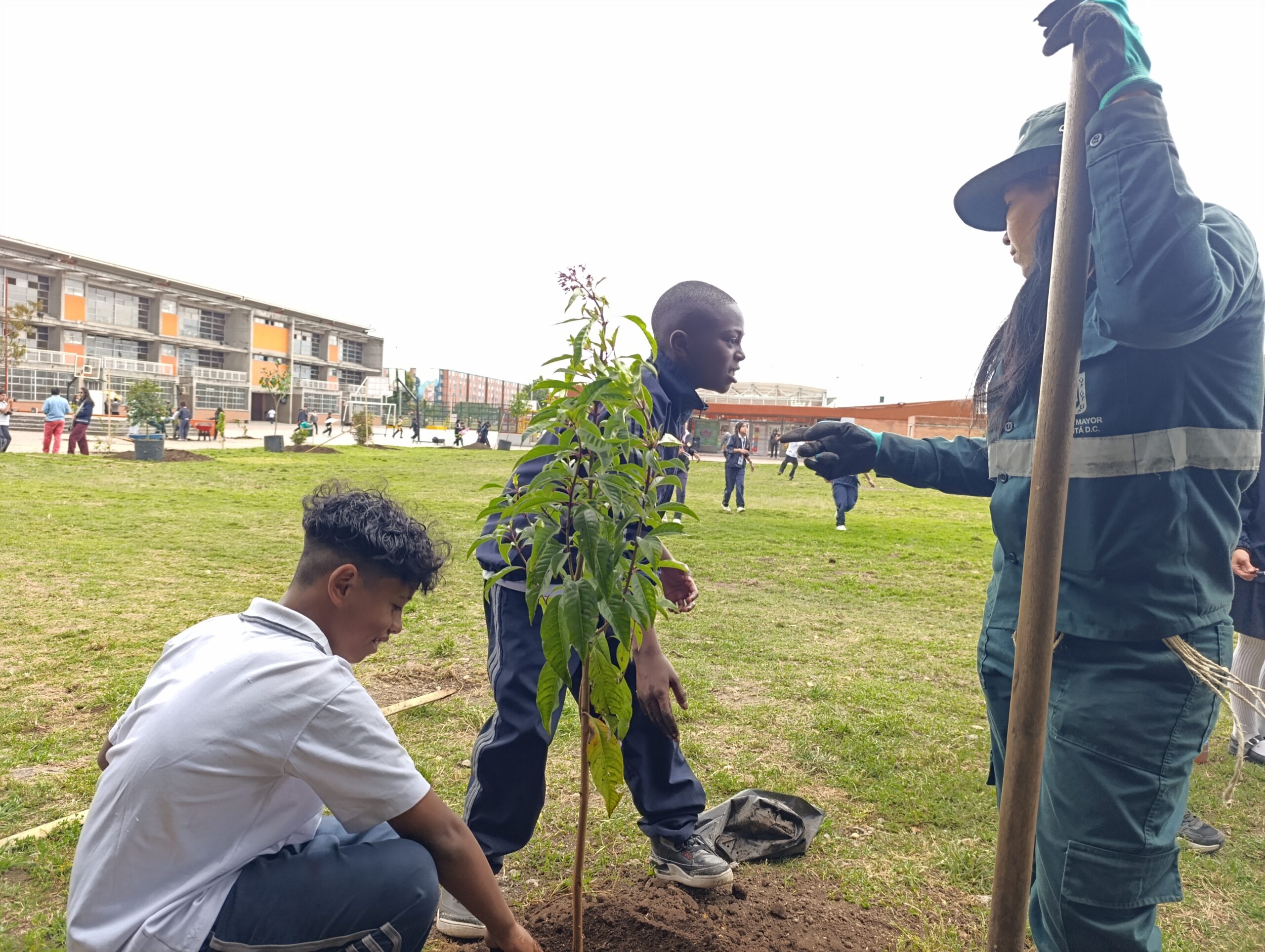 Historias del verde urbano: Estudiantes de primaria plantaron los primeros 50 árboles y arbustos en el colegio Ciudadela Educativa de Bosa