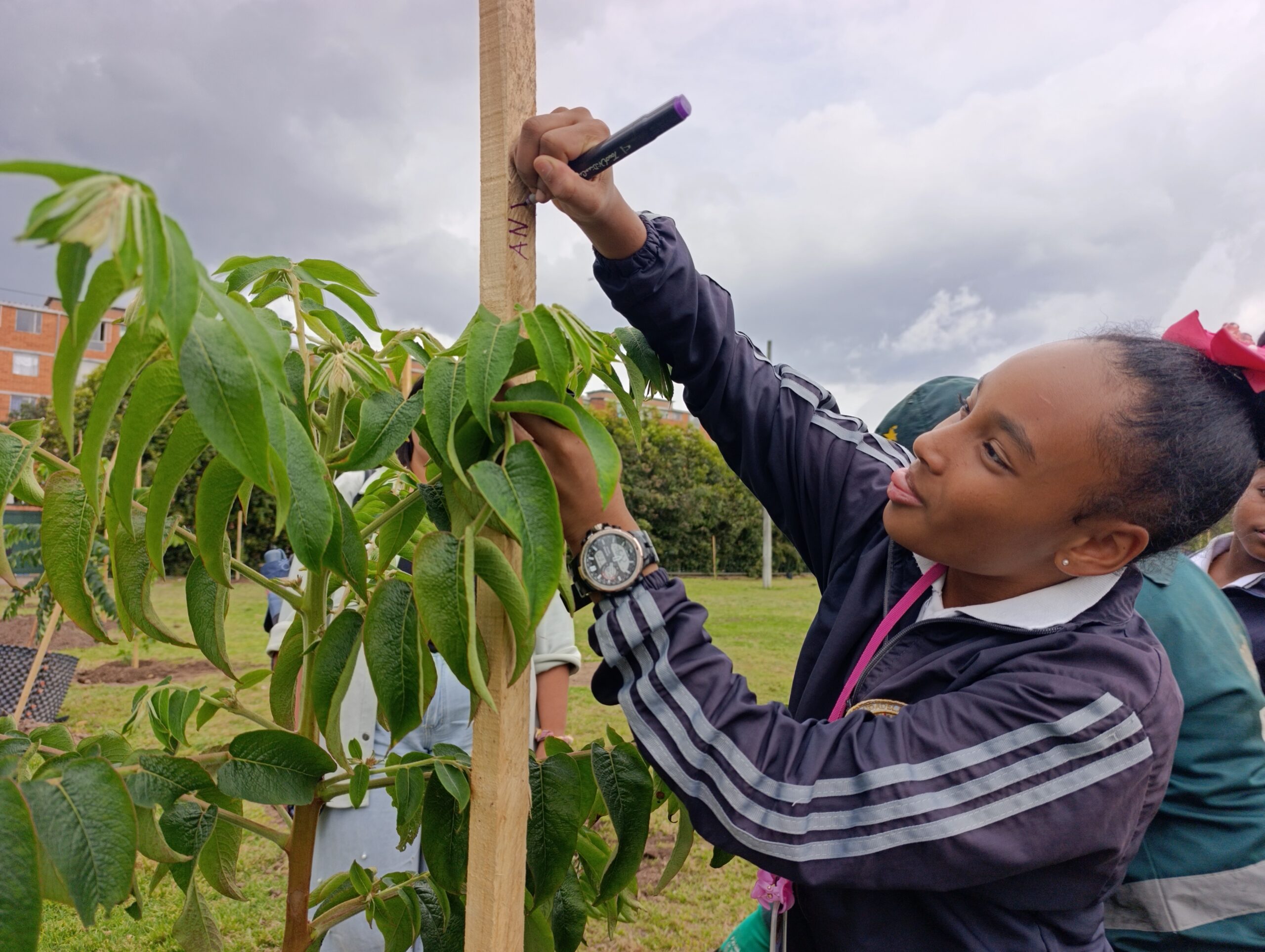 Historias del verde urbano: Estudiantes de primaria plantaron los primeros 50 árboles y arbustos en el colegio Ciudadela Educativa de Bosa