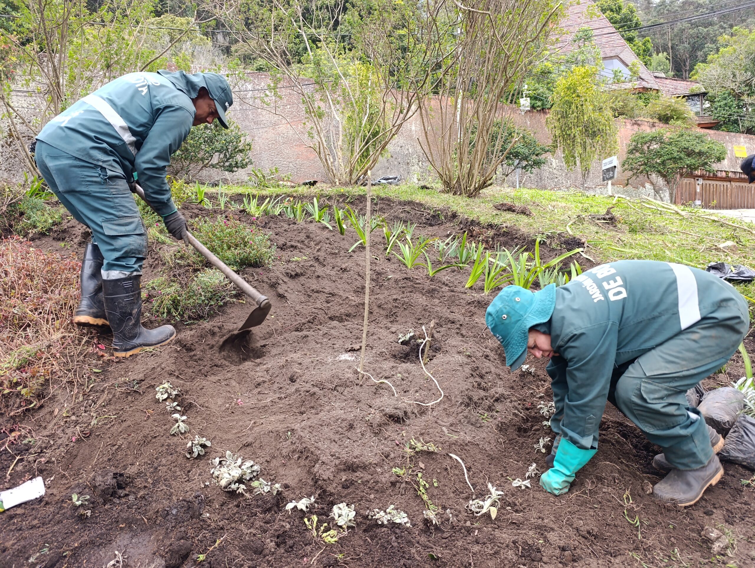 Historias del verde urbano: Los jardines en medialuna del Refugio Alto recobran su belleza