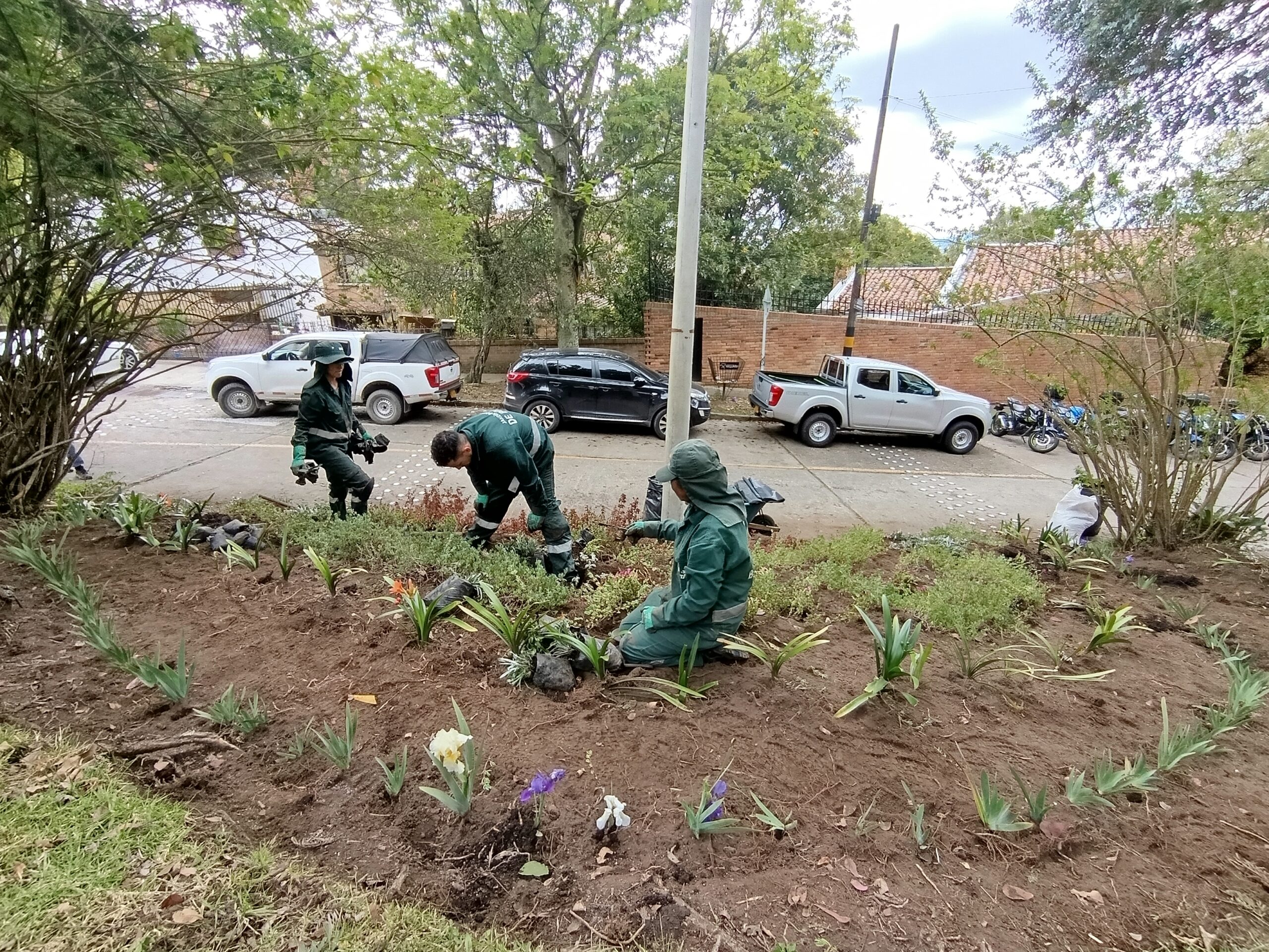 Historias del verde urbano: Los jardines en medialuna del Refugio Alto recobran su belleza
