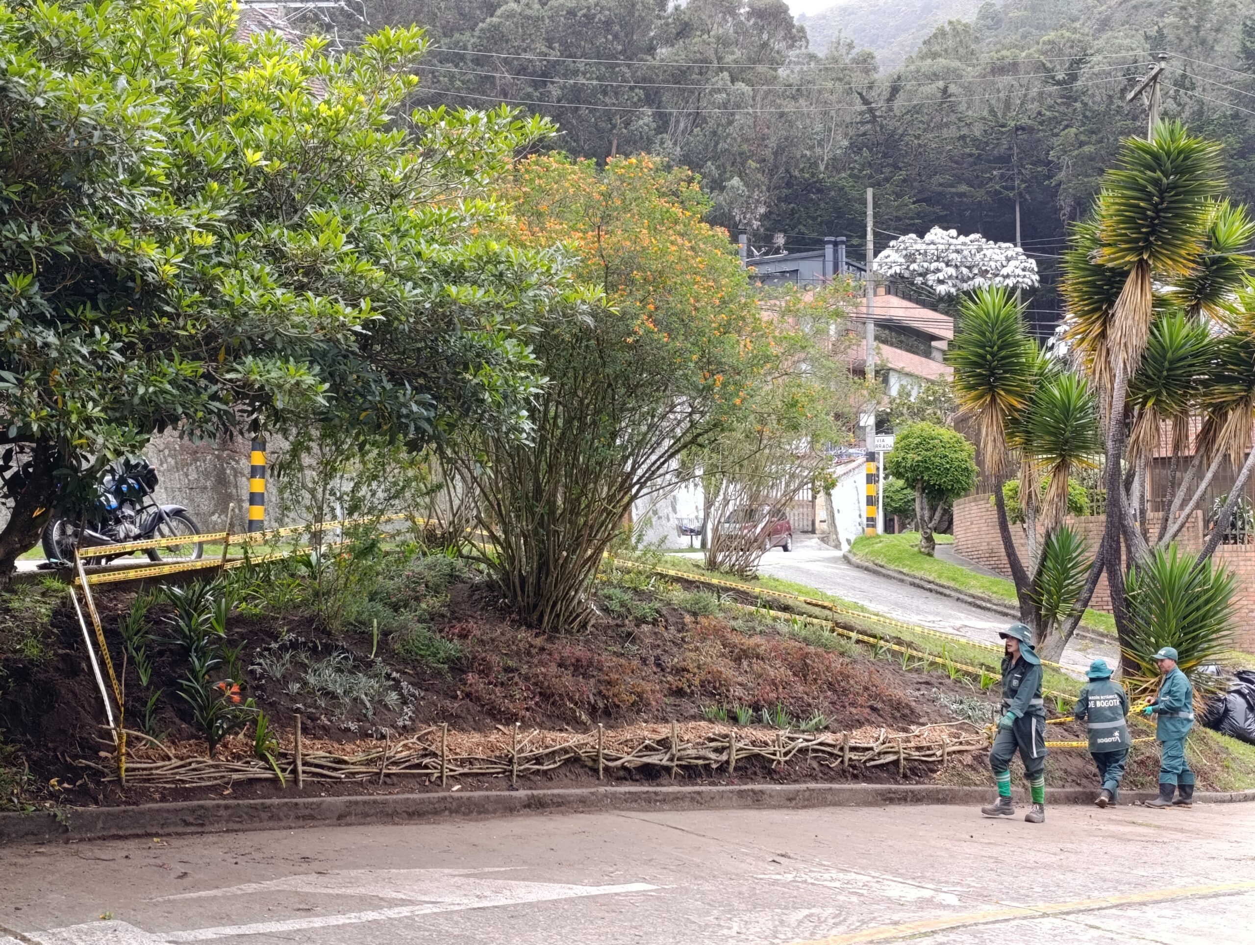 Historias del verde urbano: Los jardines en medialuna del Refugio Alto recobran su belleza