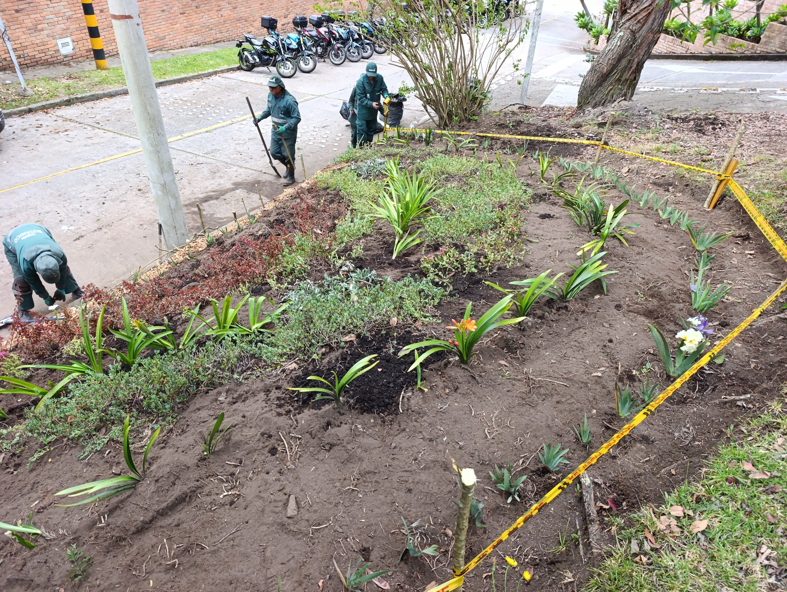 Historias del verde urbano: Los jardines en medialuna del Refugio Alto recobran su belleza
