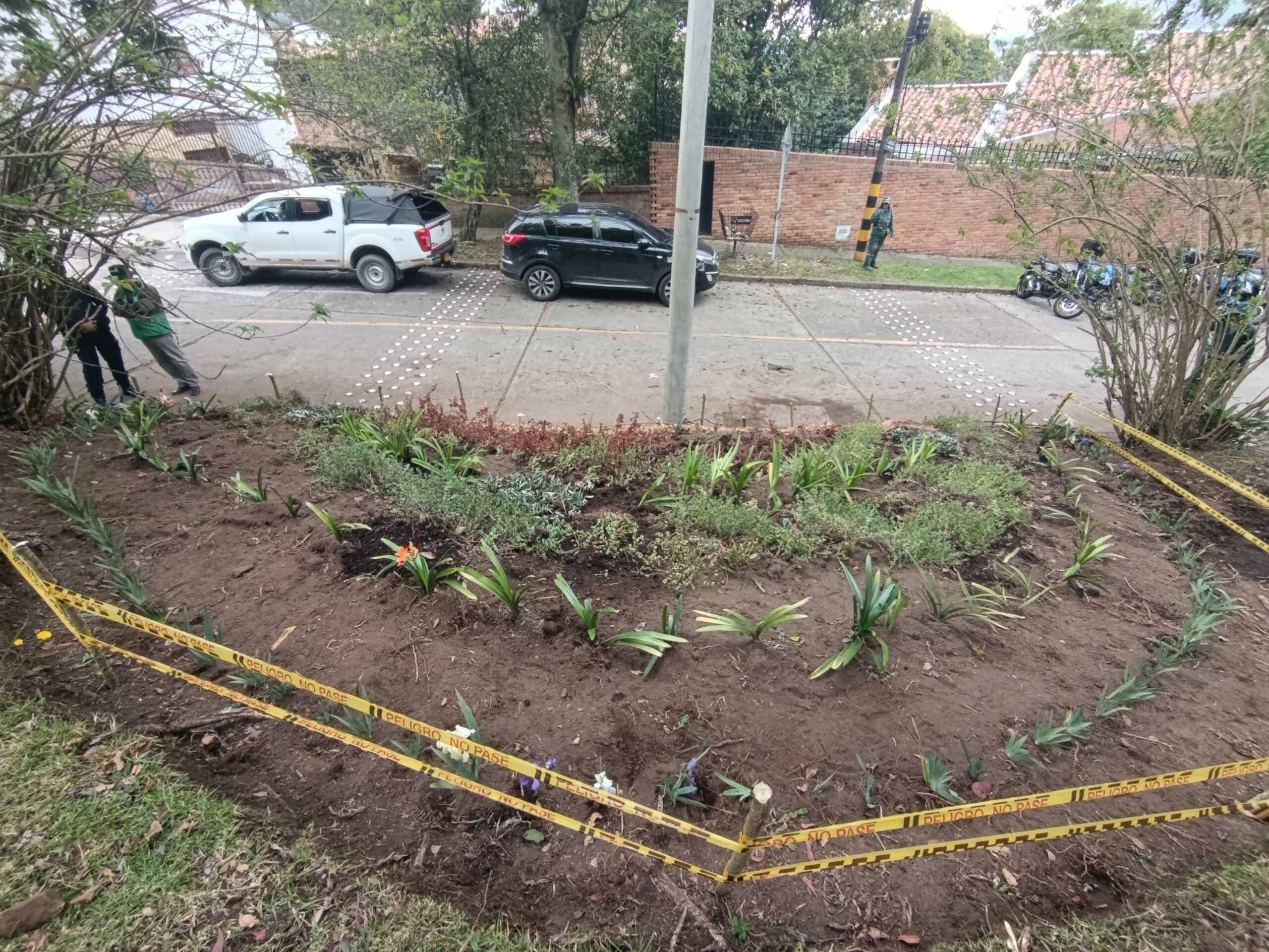 Historias del verde urbano: Los jardines en medialuna del Refugio Alto recobran su belleza