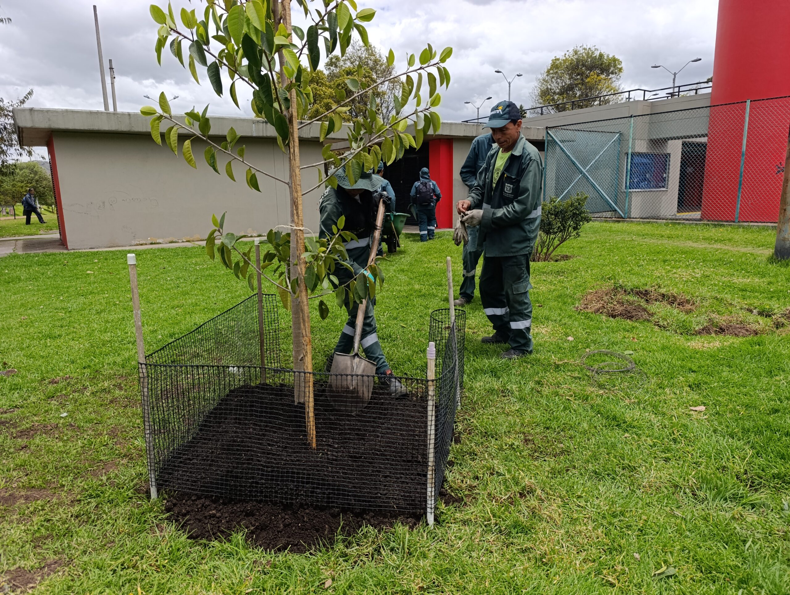 Historias del verde urbano: Copa de los 70 años: un compromiso futbolero con el bosque urbano El Tunal