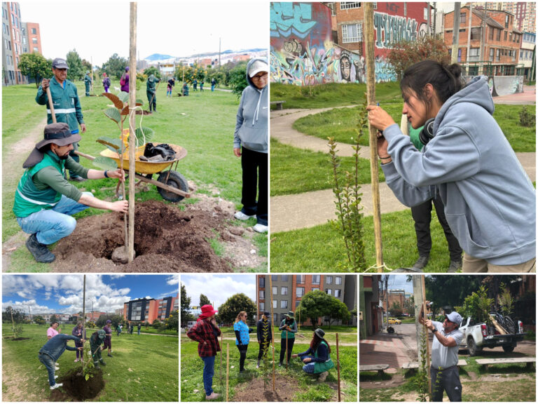 Madelena: un barrio cincuentón de Ciudad Bolívar que se renaturaliza