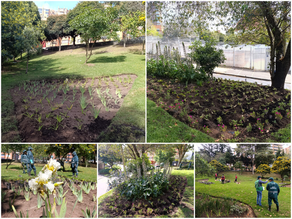Historias del verde urbano: La jardinera en forma de pizza de Chapinero vuelve a brillar