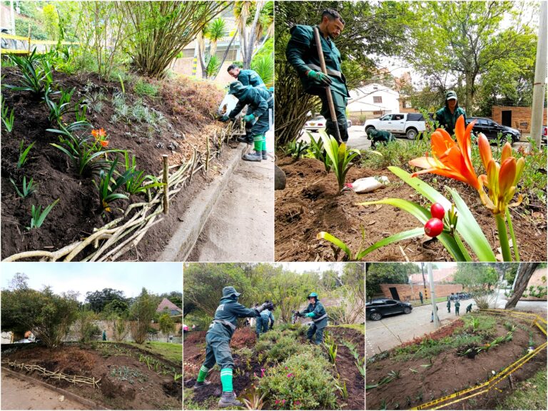 Historias del verde urbano: Los jardines en medialuna del Refugio Alto recobran su belleza