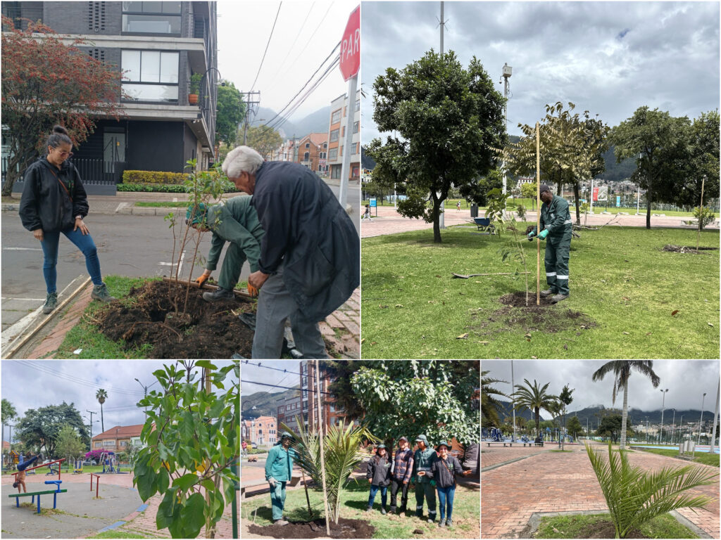 Historias del verde urbano: El reverdecer de San Luis y el parque Tercer Milenio