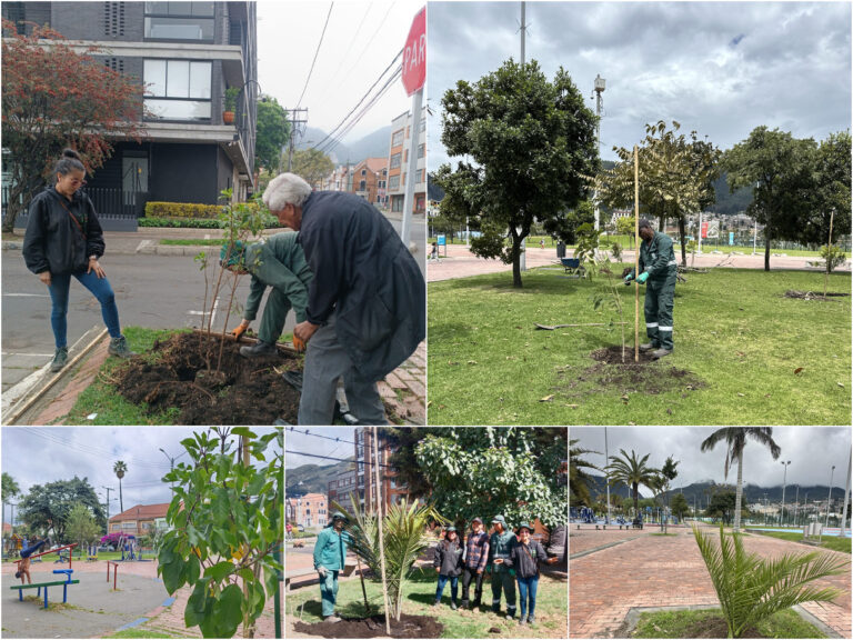 Historias del verde urbano: El reverdecer de San Luis y el parque Tercer Milenio