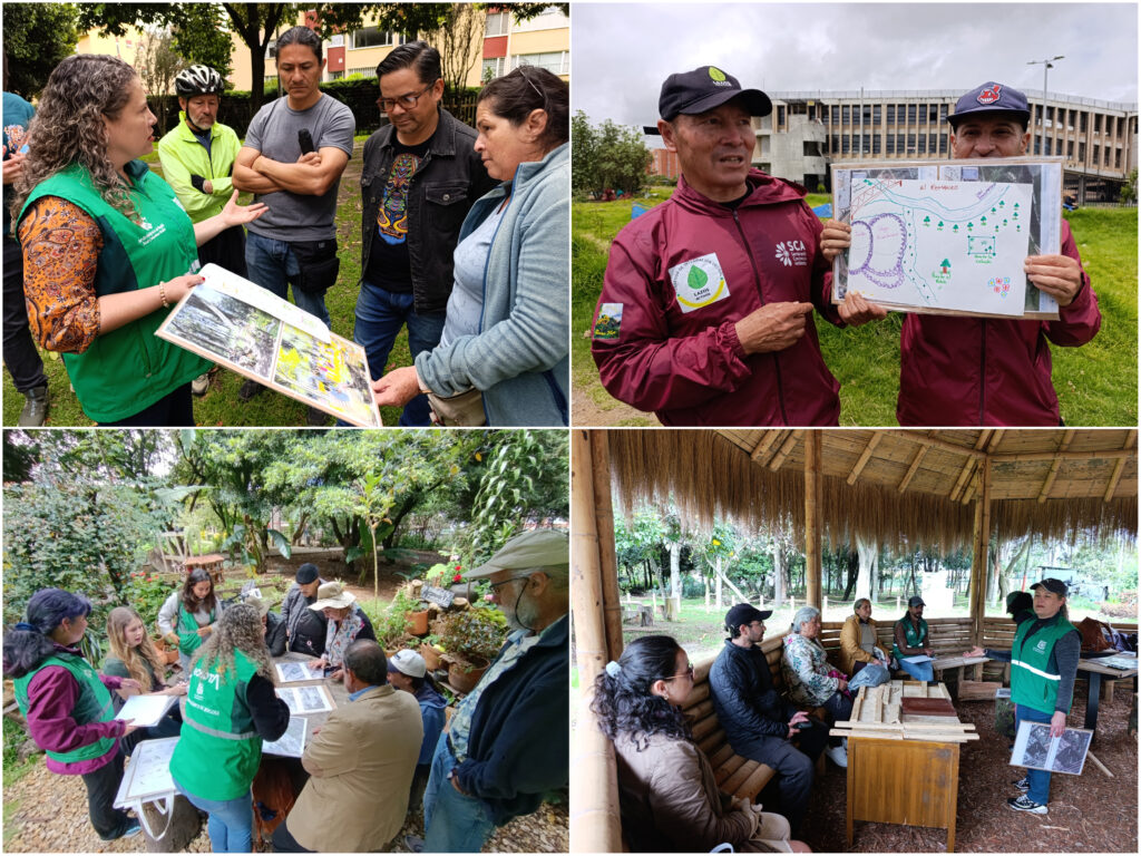 Historias del verde urbano: Comunidades de cuatro bosques urbanos participaron en los talleres de codiseño biofílico del Jardín Botánico