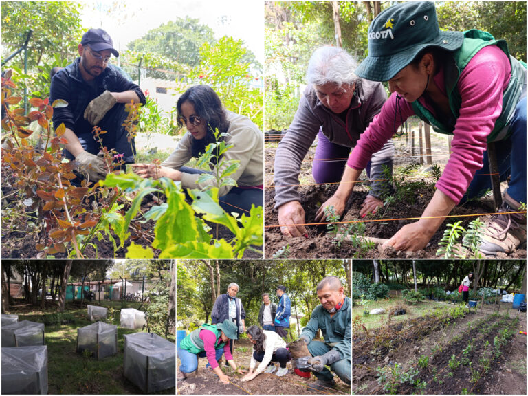 Historias del verde urbano: Ciudad Montes: un bosque urbano que propaga el material vegetal de sus jardines biodiversos