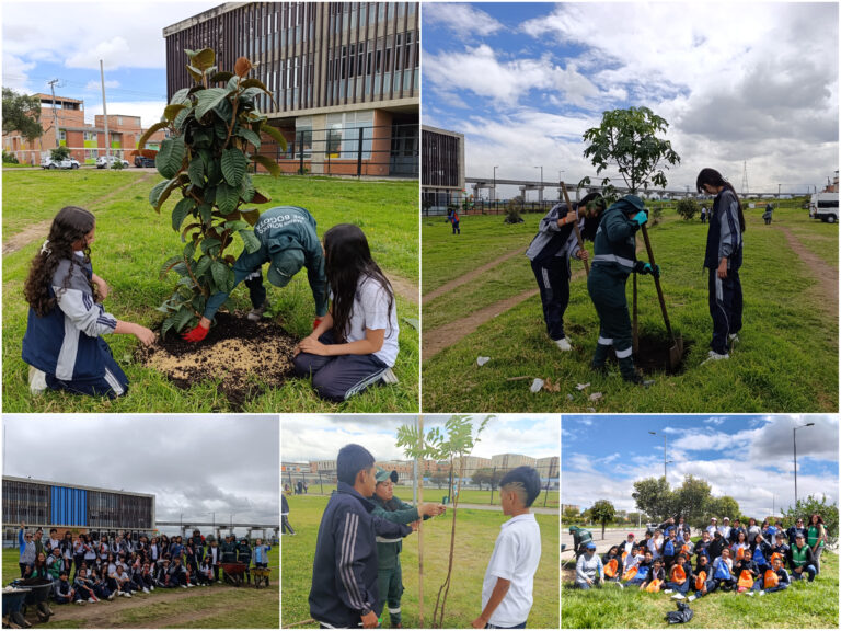 Historias del verde urbano: El Porvenir: un parque de Bosa que se renaturaliza con la ayuda de colegios y la empresa privada