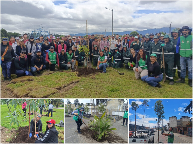 Historias del verde urbano: Bogotá recibió más de 250 árboles durante el Día Interamericano de la Calidad del Aire