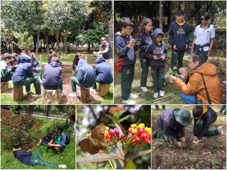 “Encontrémonos en los bosques urbanos” brilló en Ciudad Montes con un taller de jardines biodiversos
