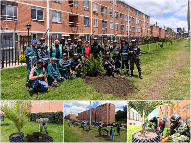 Historias del verde urbano: ¡El símbolo patrio arbóreo de Colombia llegó a Camino Verde!