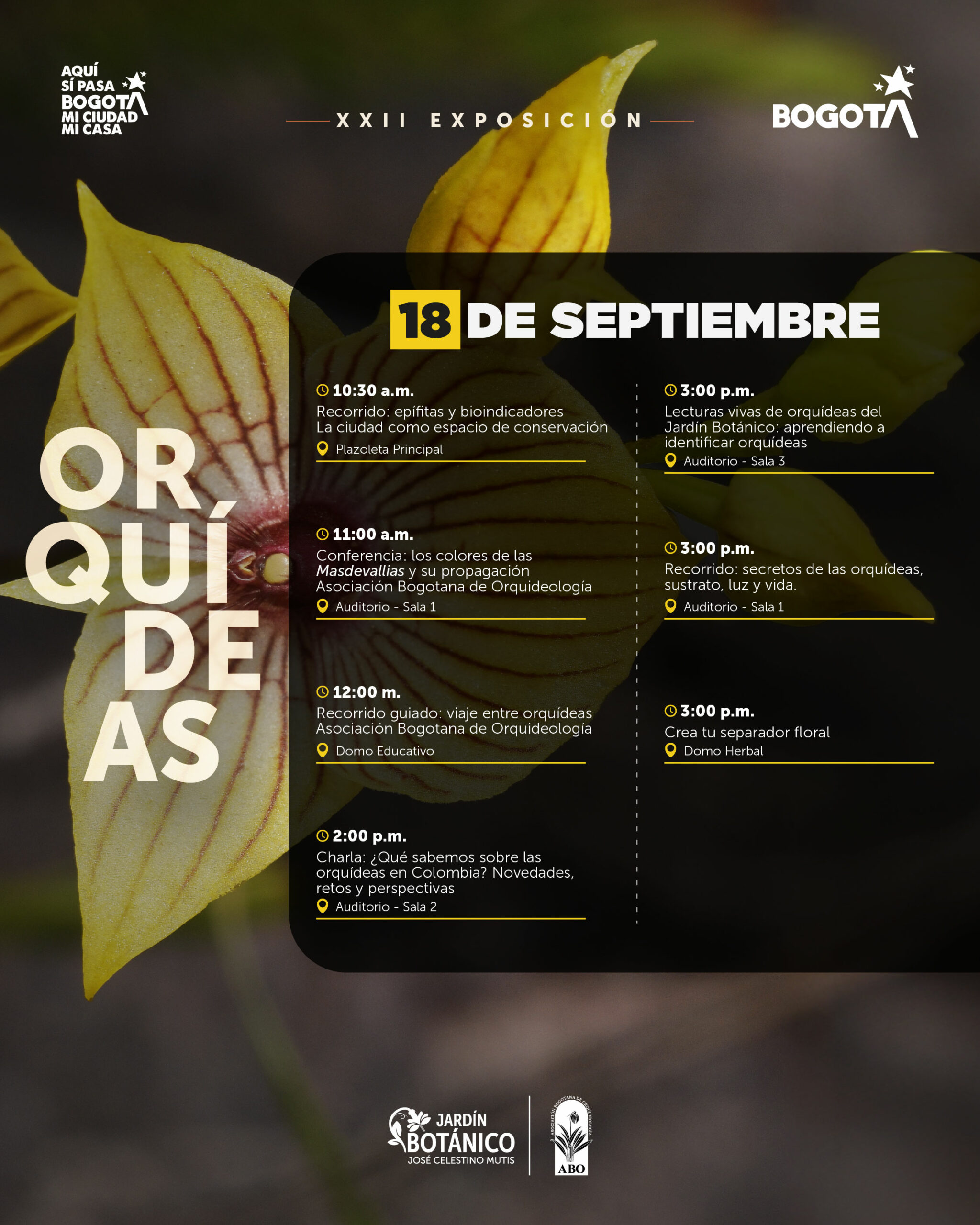01-sep 3659 AGENDA ORQUIDEAS1 (1)-01