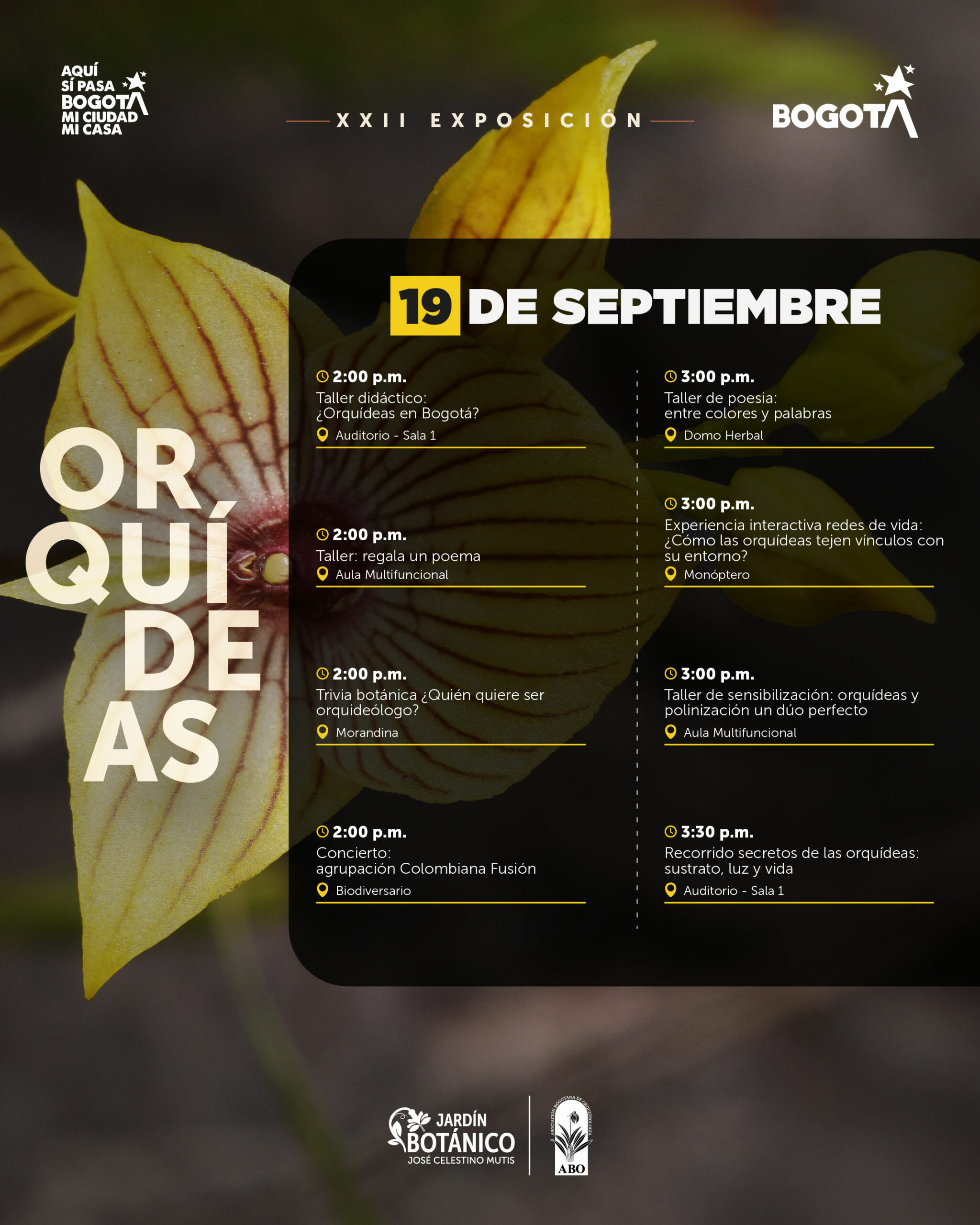 01-sep 3659 AGENDA ORQUIDEAS1 (1)-03