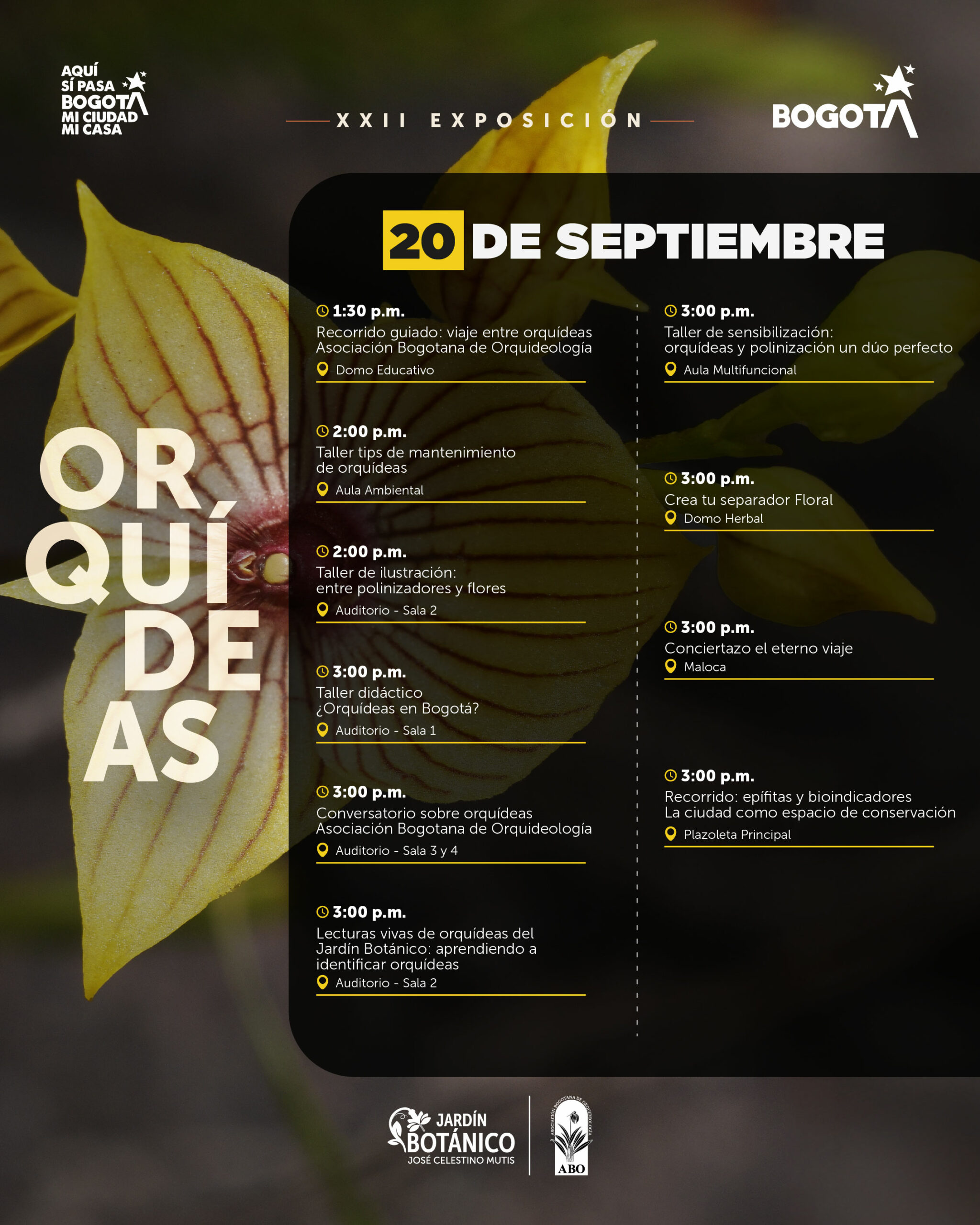 01-sep 3659 AGENDA ORQUIDEAS1 (1)-05