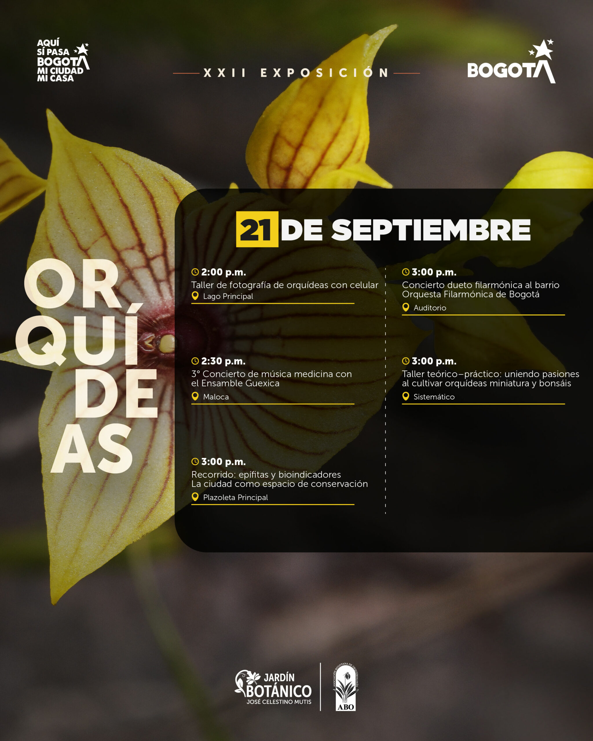 01-sep 3659 AGENDA ORQUIDEAS1 (1)-07
