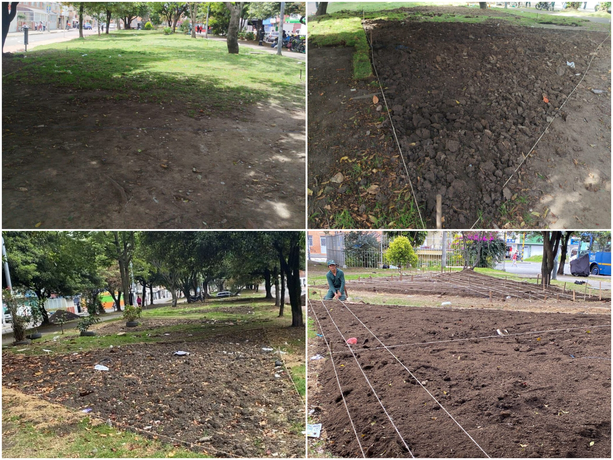 Historias del verde urbano: Las siete nuevas maravillas florales del Gustavo Restrepo Historias del verde urbano: Las siete nuevas maravillas florales del Gustavo Restrepo