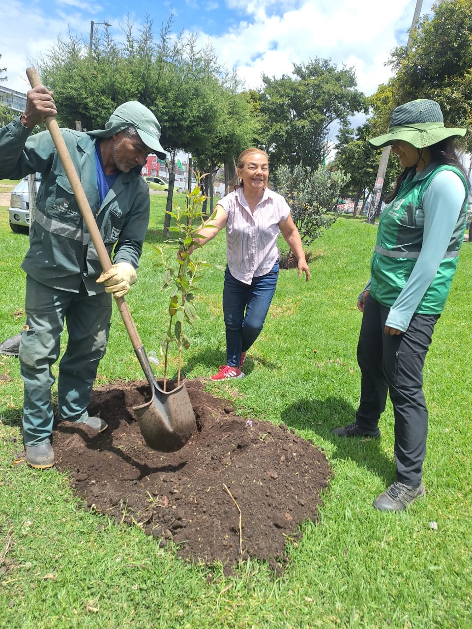Historias del verde urbano: ¡Engativá, Suba y Usaquén intensifican su verde!