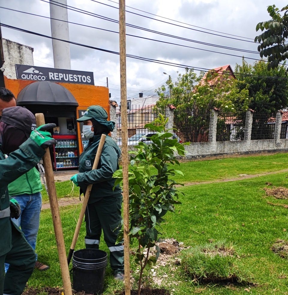 Historias del verde urbano: ¡La Autopista Norte y la calle 26 se renaturalizan!