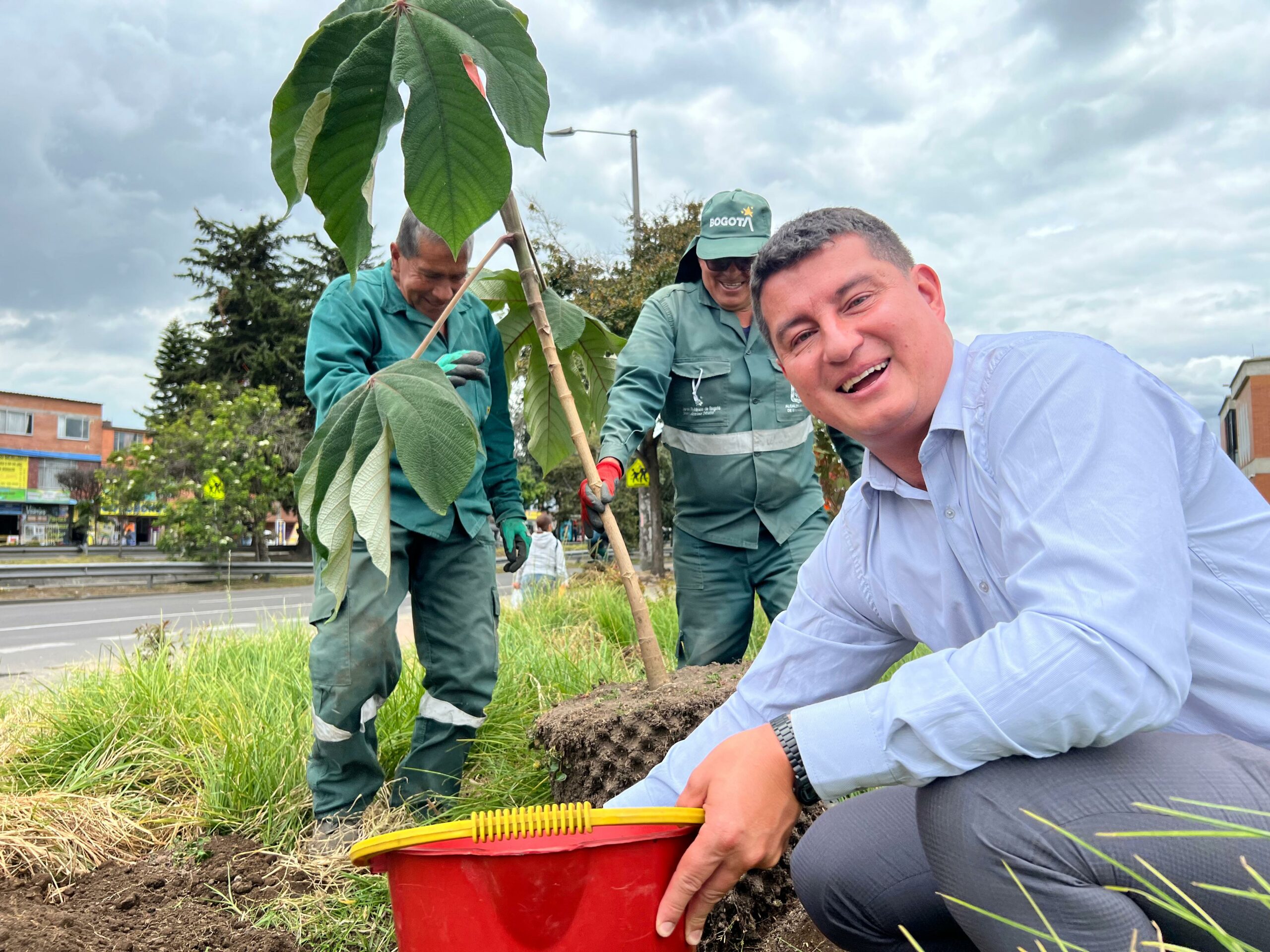 Historias del verde urbano: ¡La Autopista Norte y la calle 26 se renaturalizan!