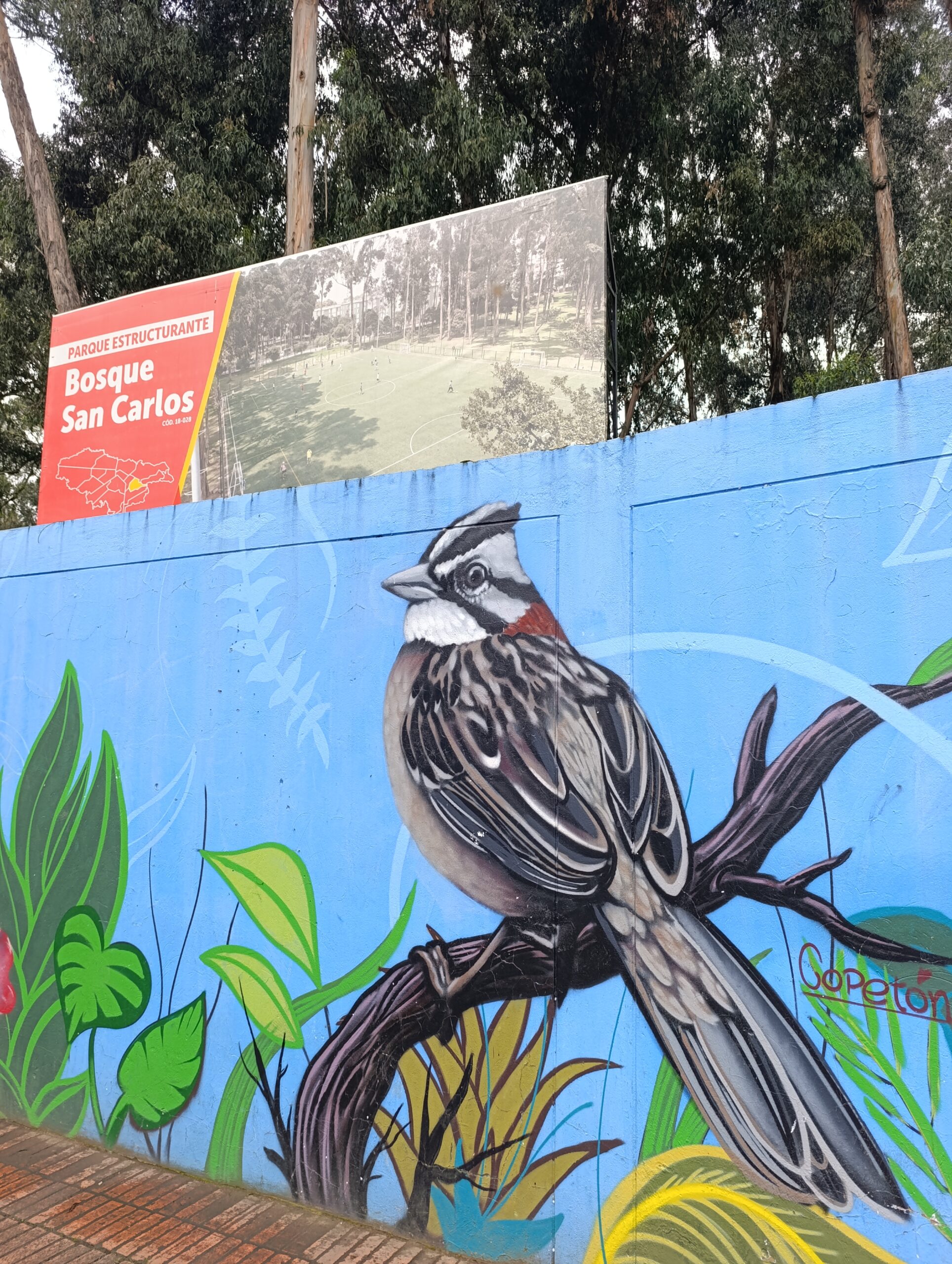 Historias del verde urbano: ¡Tertulia con los guardianes del pulmón verde del sur!