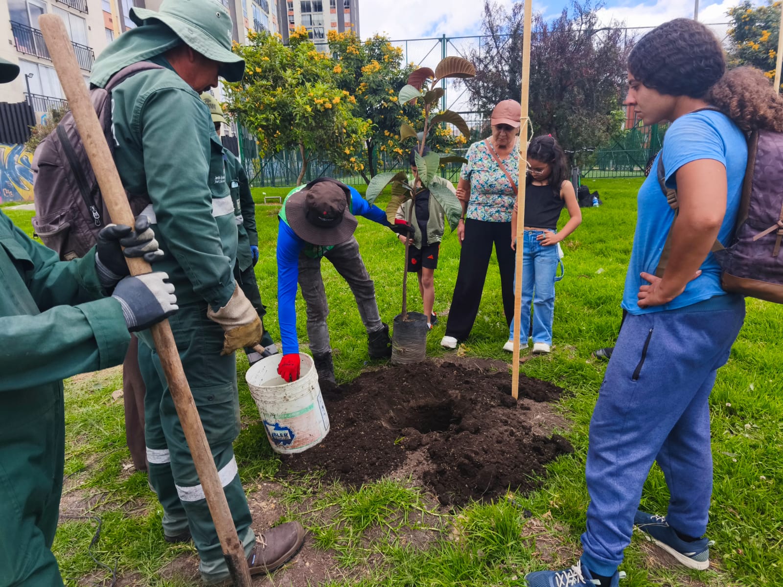 Historias del verde urbano: ¡Ciudad Bolívar y Tunjuelito robustecen su arbolado!