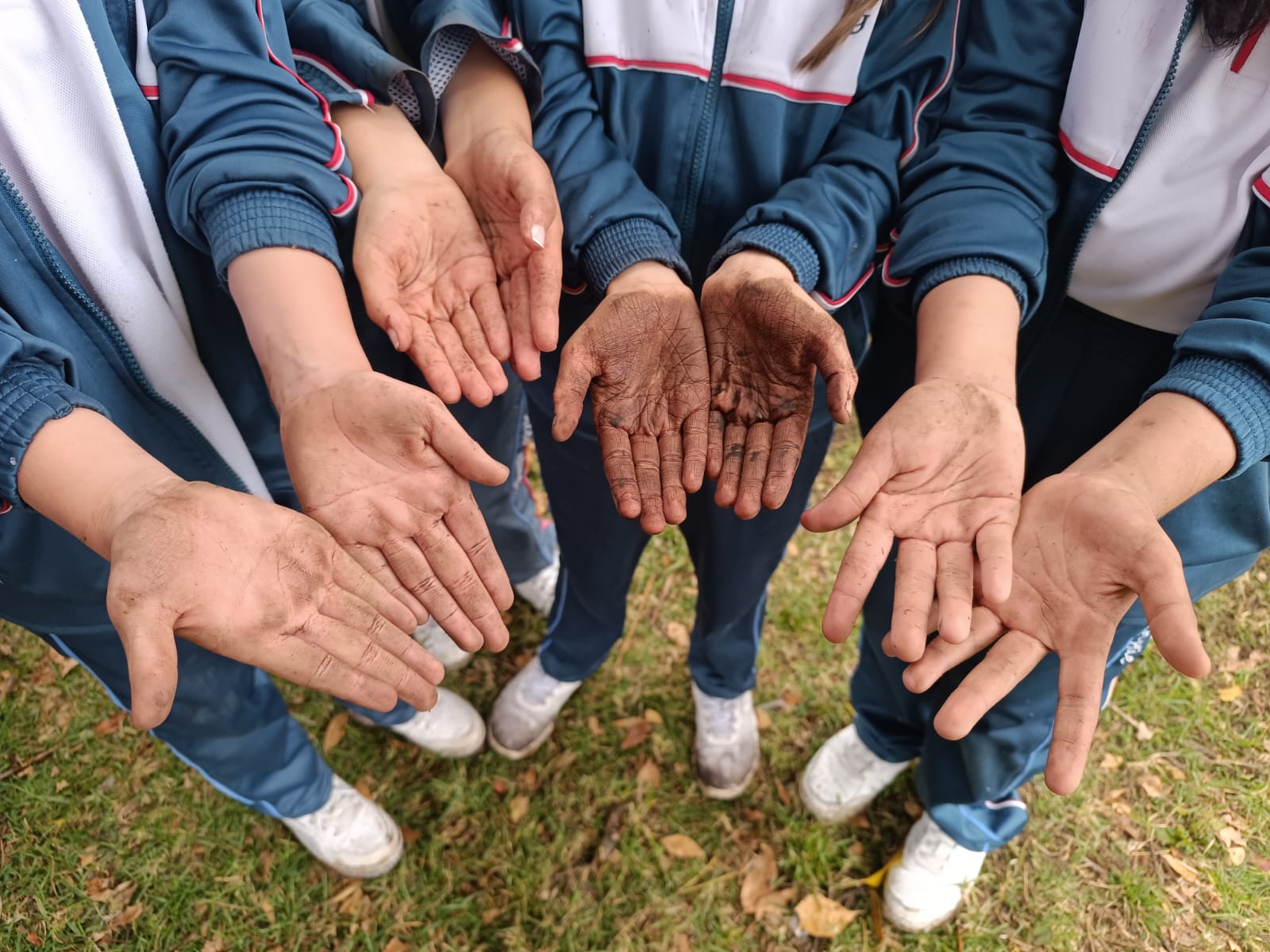 Historias del verde urbano: ¡Bogotá se renaturaliza!: Jardín Botánico plantó 107 nuevos árboles y arbustos en cinco localidades