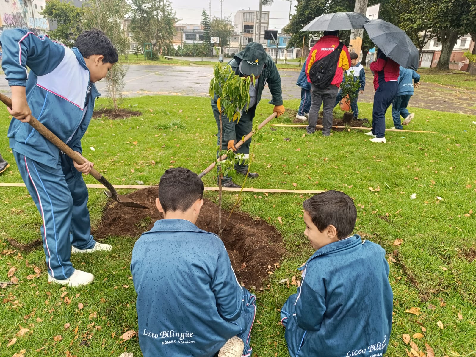 Historias del verde urbano: ¡Bogotá se renaturaliza!: Jardín Botánico plantó 107 nuevos árboles y arbustos en cinco localidades