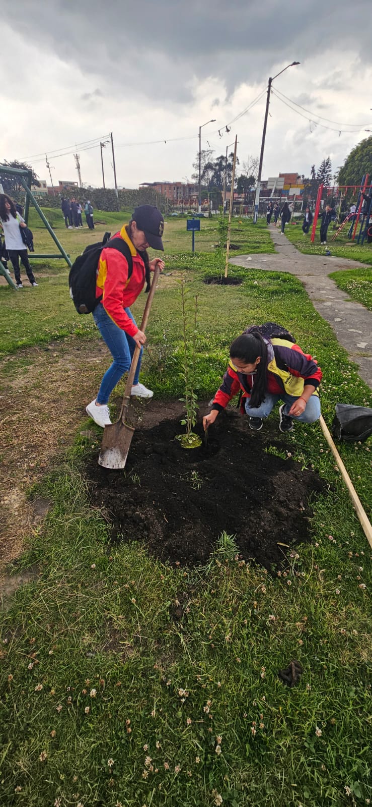 Historias del verde urbano: ¡La Autopista Norte y la calle 26 se renaturalizan!