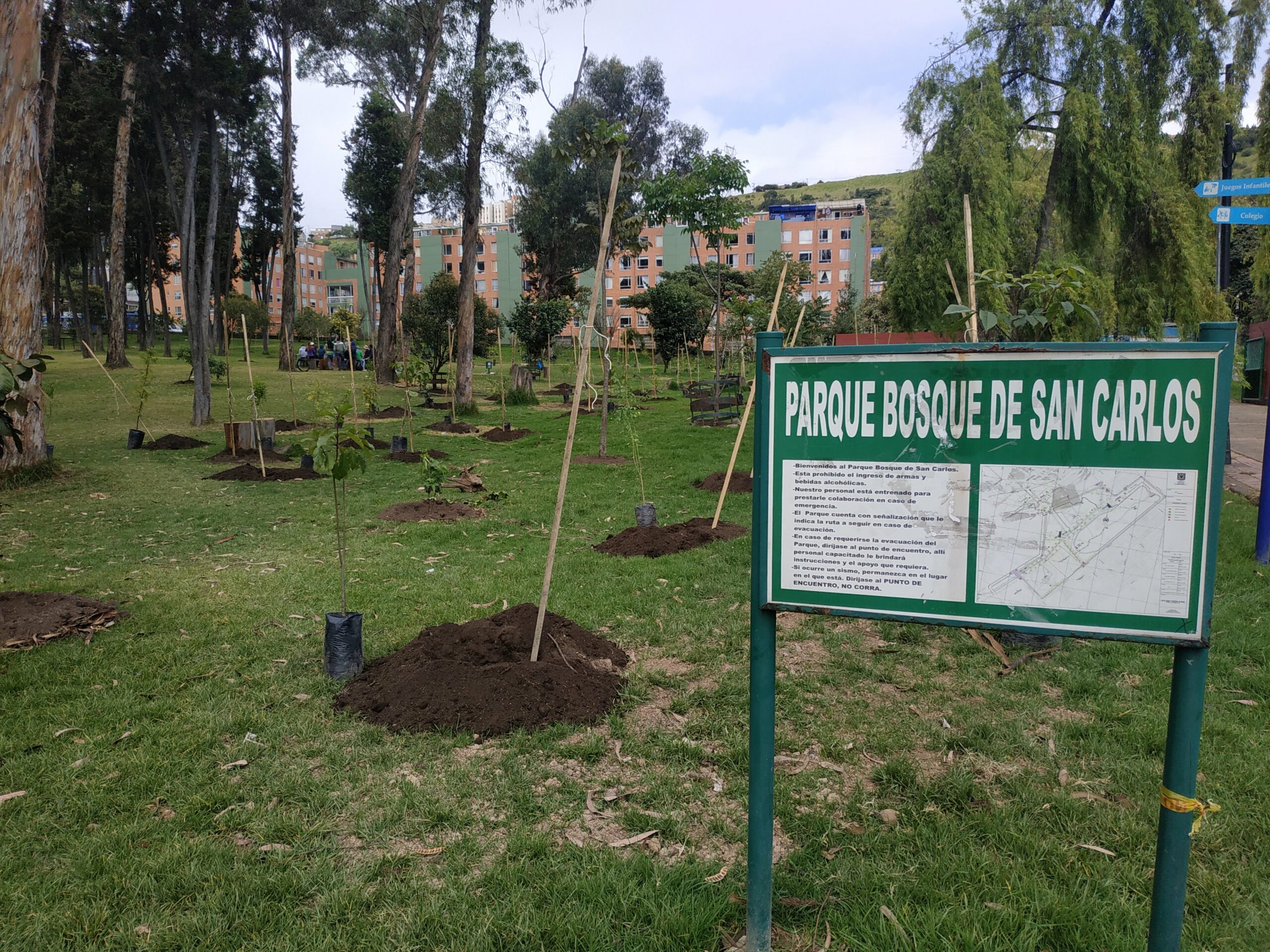 Historias del verde urbano: ¡Tertulia con los guardianes del pulmón verde del sur!