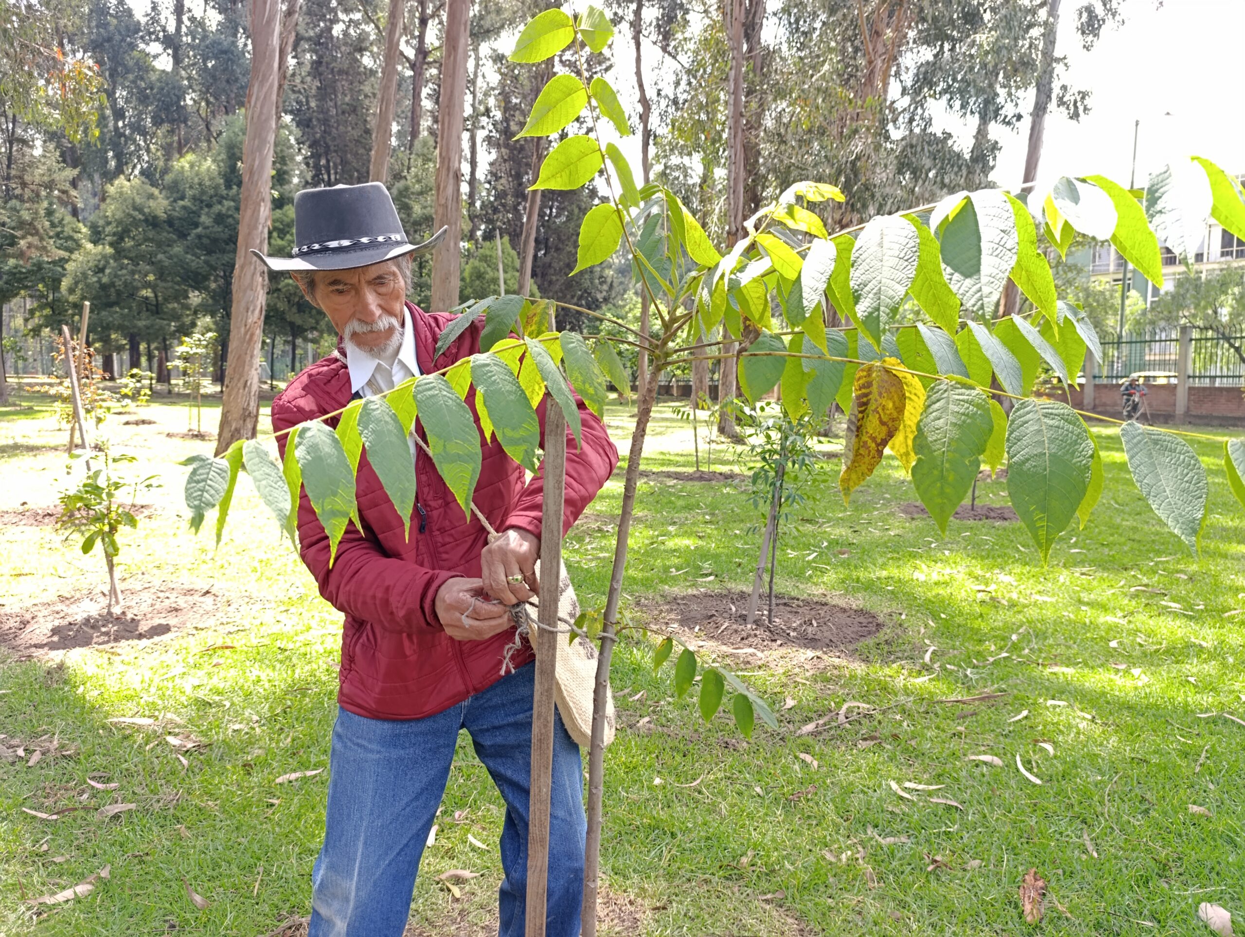 Historias del verde urbano: ¡Tertulia con los guardianes del pulmón verde del sur!
