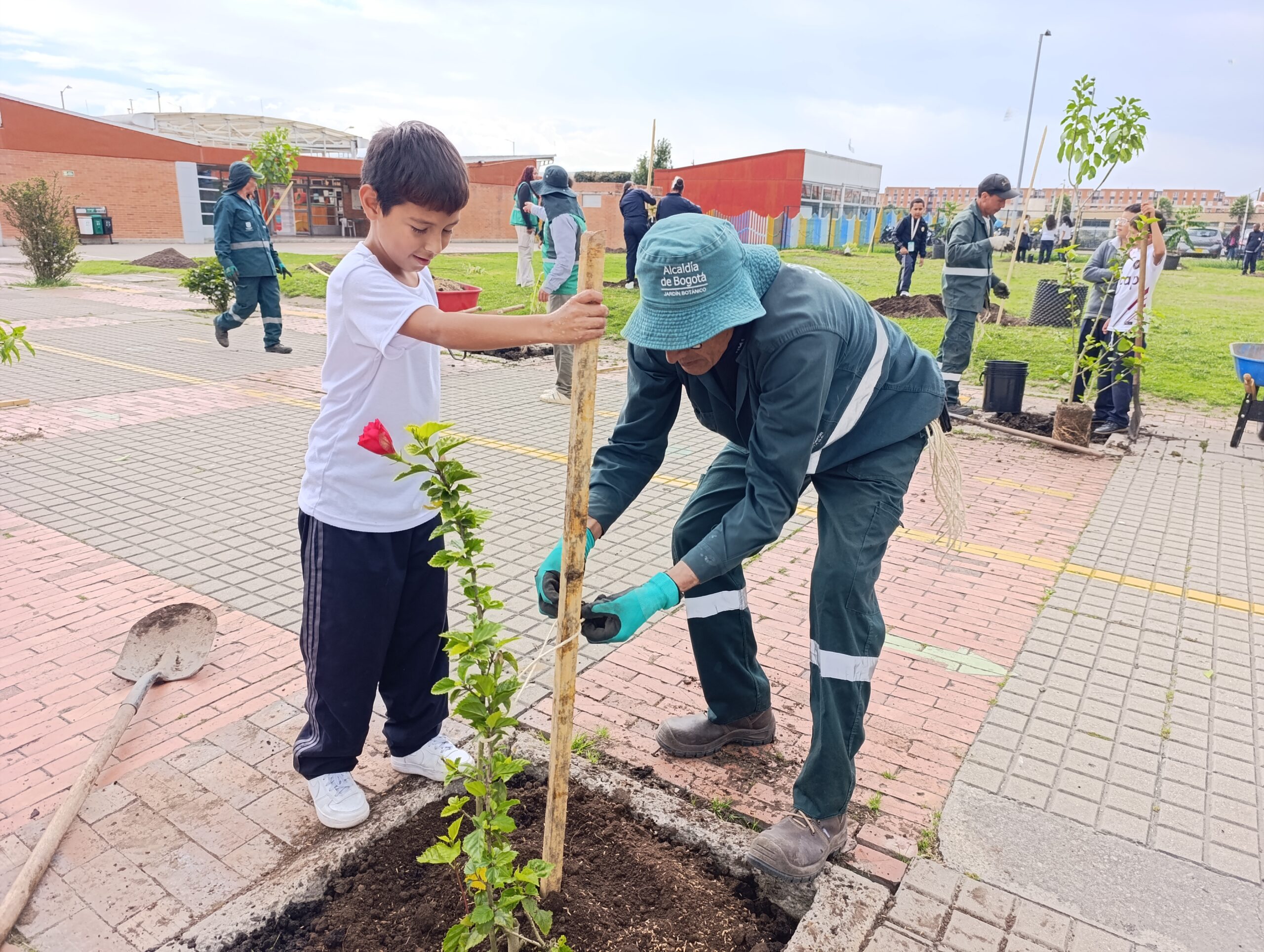 Historias del verde urbano: Los nuevos habitantes verdes del colegio Ciudadela Educativa de Bosa Historias del verde urbano: Los nuevos habitantes verdes del colegio Ciudadela Educativa de Bosa