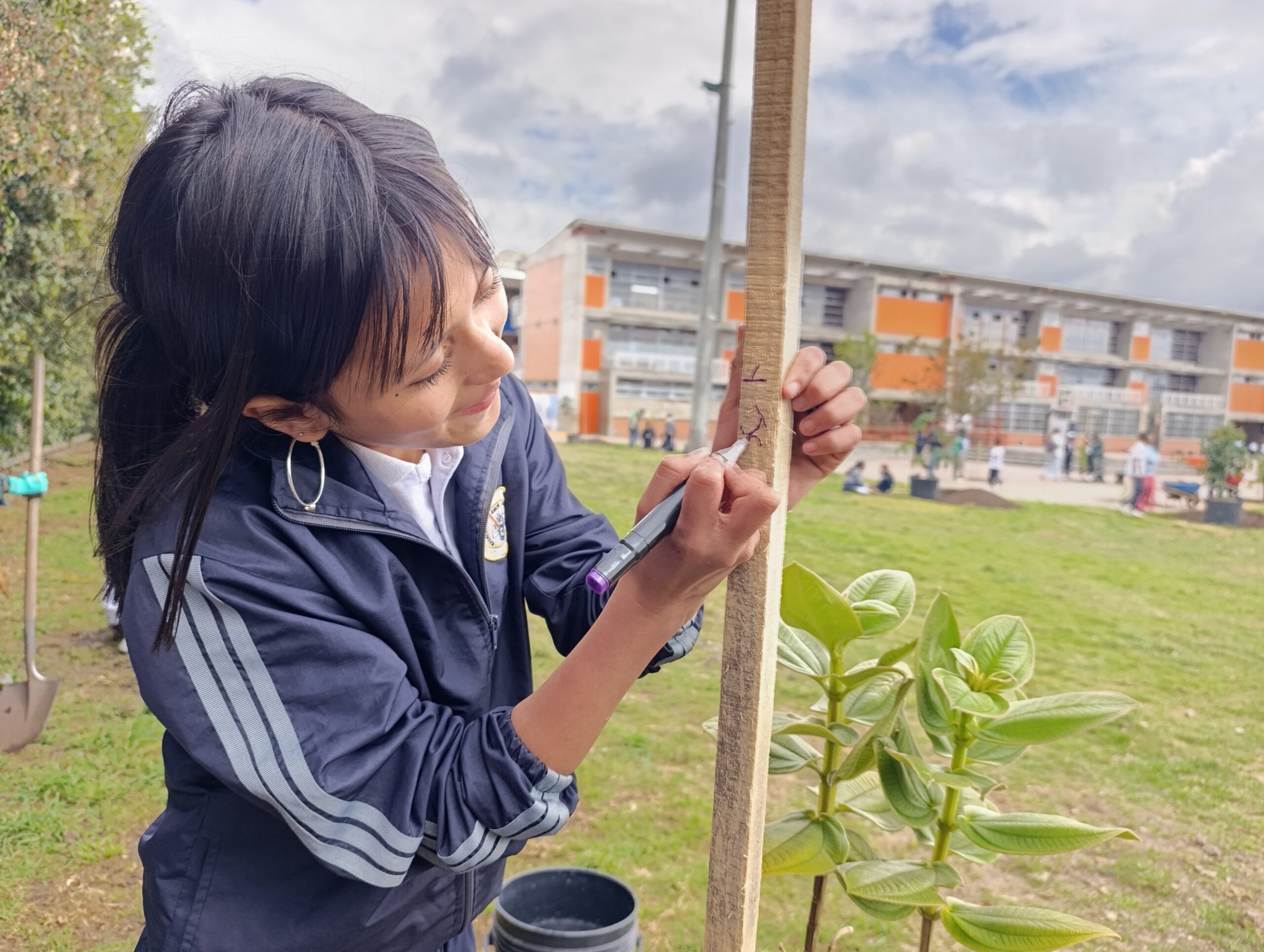 Historias del verde urbano: Los nuevos habitantes verdes del colegio Ciudadela Educativa de Bosa Historias del verde urbano: Los nuevos habitantes verdes del colegio Ciudadela Educativa de Bosa