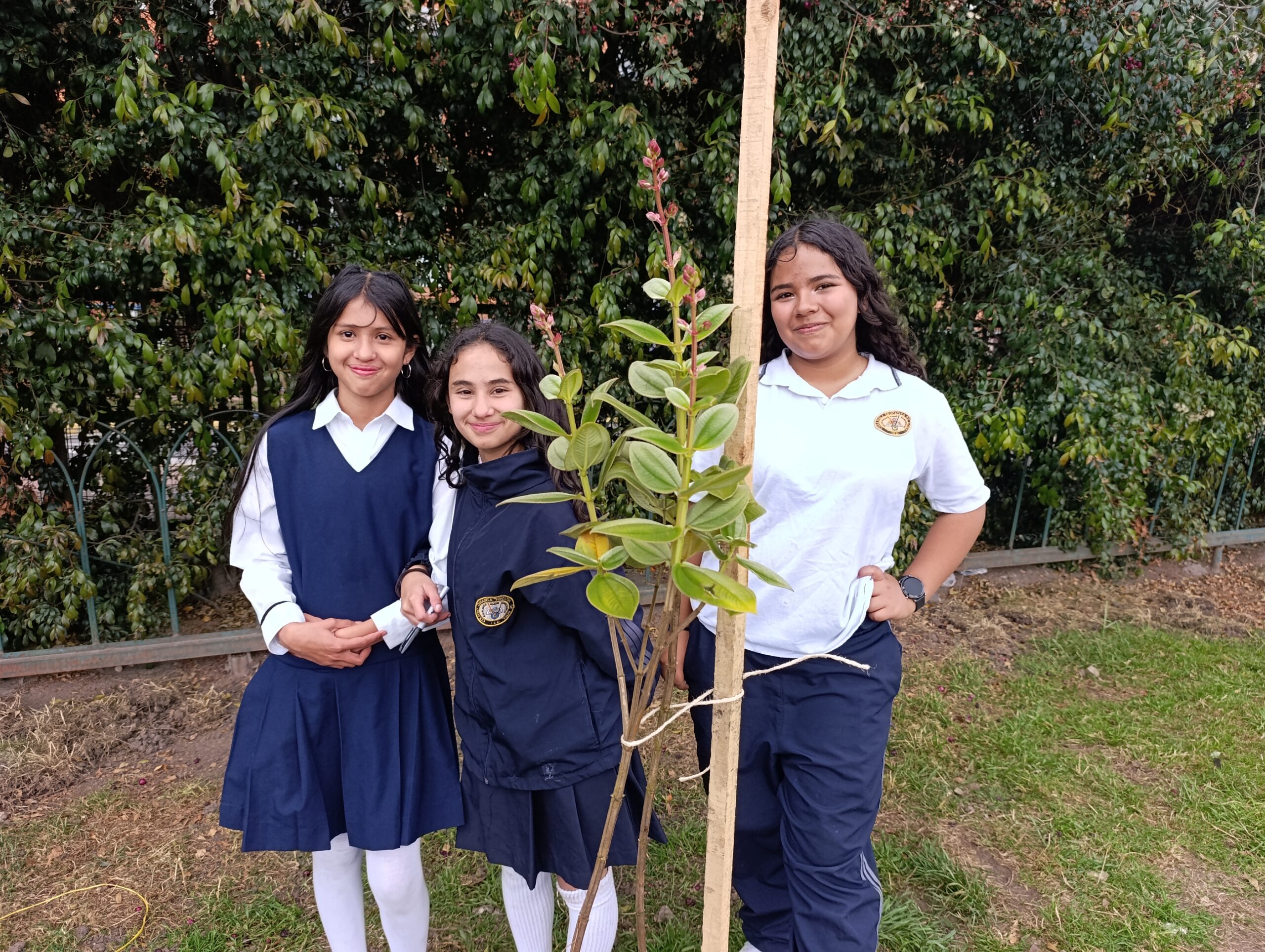 Historias del verde urbano: Los nuevos habitantes verdes del colegio Ciudadela Educativa de Bosa Historias del verde urbano: Los nuevos habitantes verdes del colegio Ciudadela Educativa de Bosa