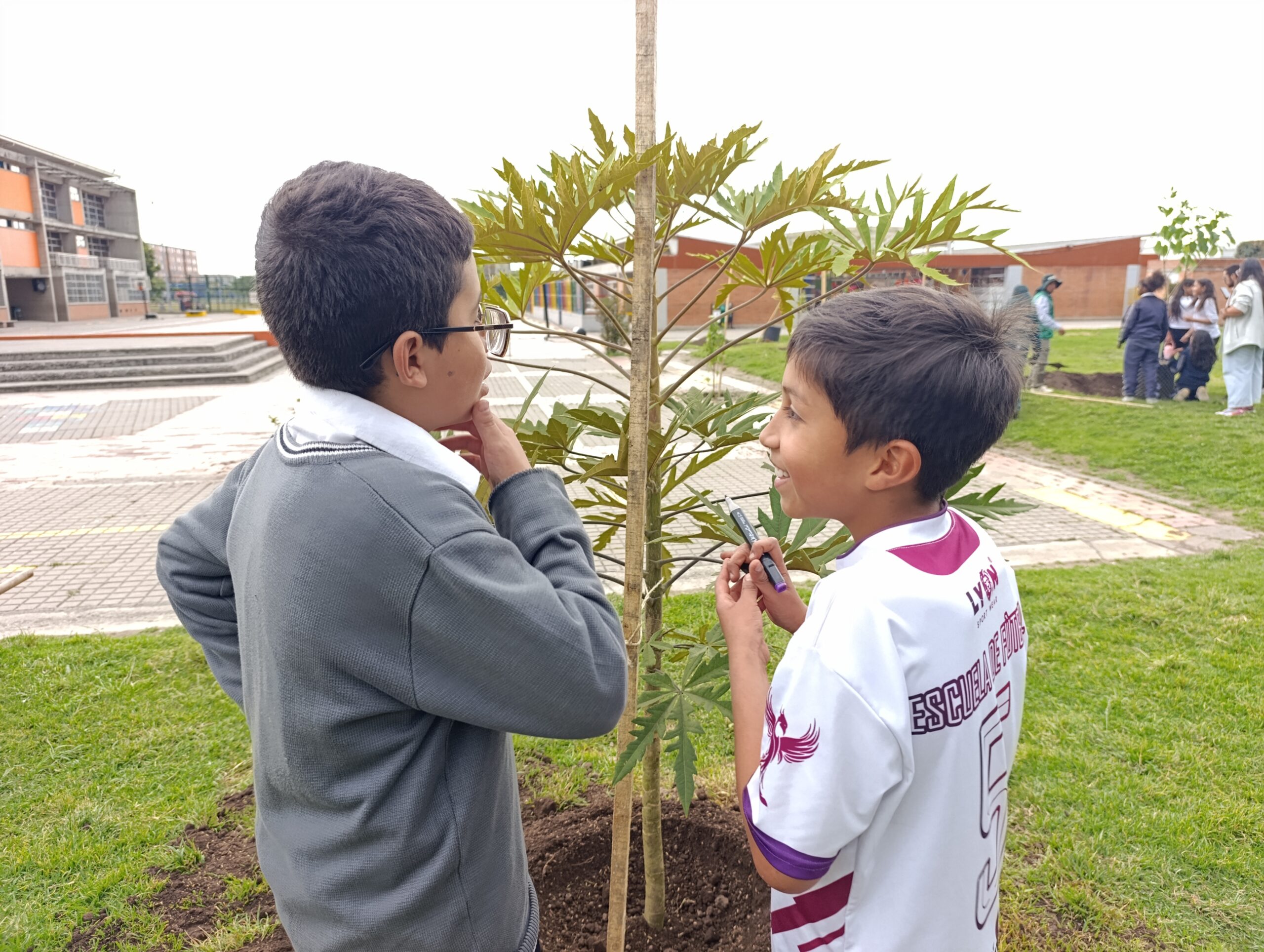 Historias del verde urbano: Los nuevos habitantes verdes del colegio Ciudadela Educativa de Bosa Historias del verde urbano: Los nuevos habitantes verdes del colegio Ciudadela Educativa de Bosa