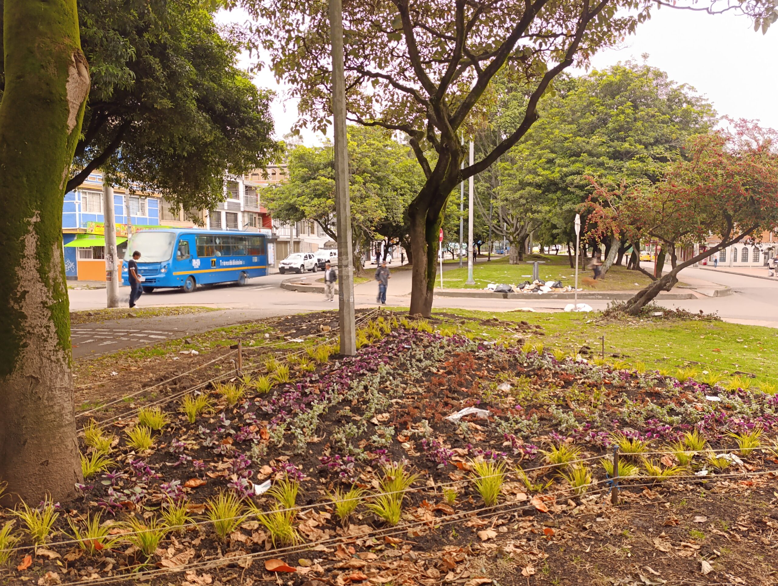 Historias del verde urbano: Las siete nuevas maravillas florales del Gustavo Restrepo Historias del verde urbano: Las siete nuevas maravillas florales del Gustavo Restrepo