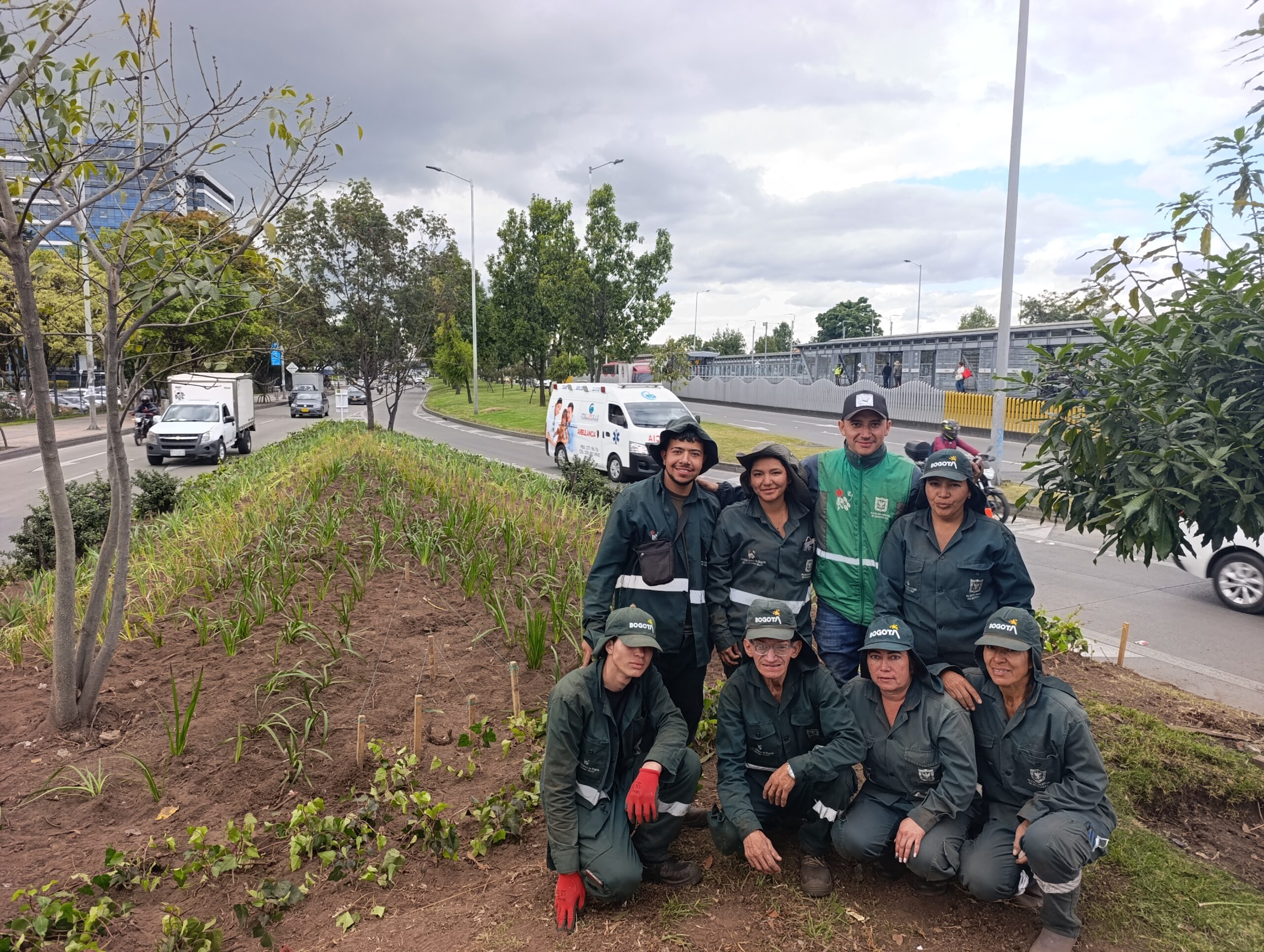 Historias del verde urbano: El cambio extremo de las jardineras de la calle 26