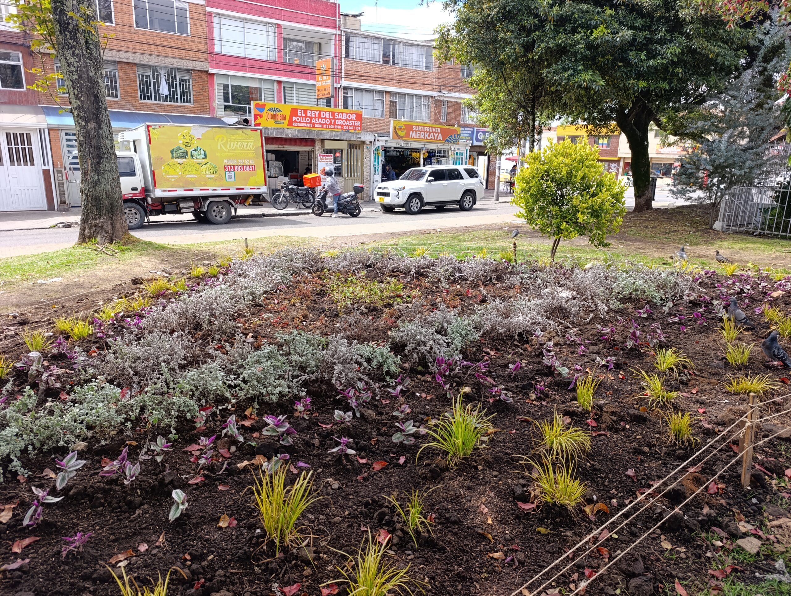 Historias del verde urbano: Las siete nuevas maravillas florales del Gustavo Restrepo Historias del verde urbano: Las siete nuevas maravillas florales del Gustavo Restrepo