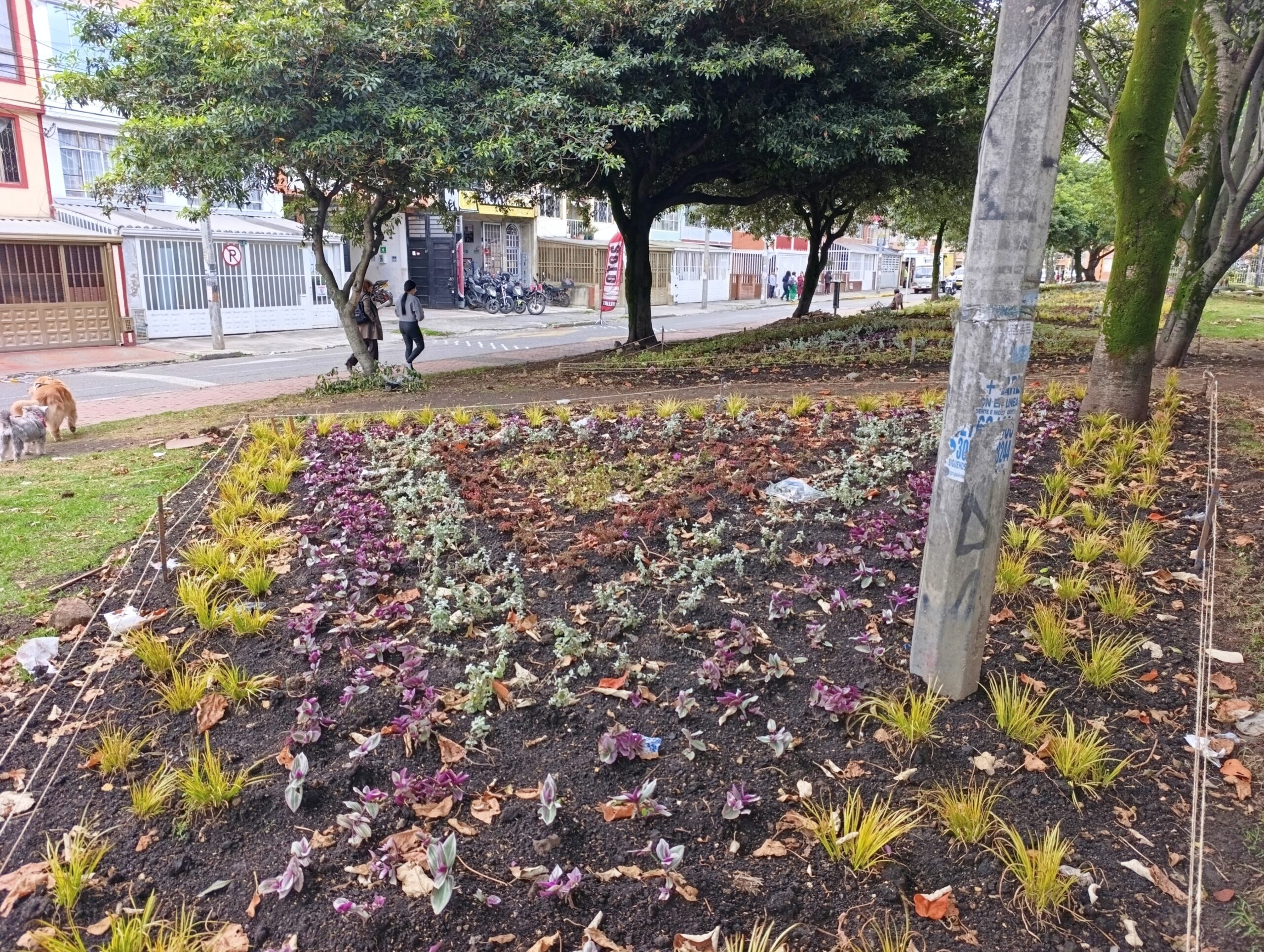 Historias del verde urbano: Las siete nuevas maravillas florales del Gustavo Restrepo Historias del verde urbano: Las siete nuevas maravillas florales del Gustavo Restrepo