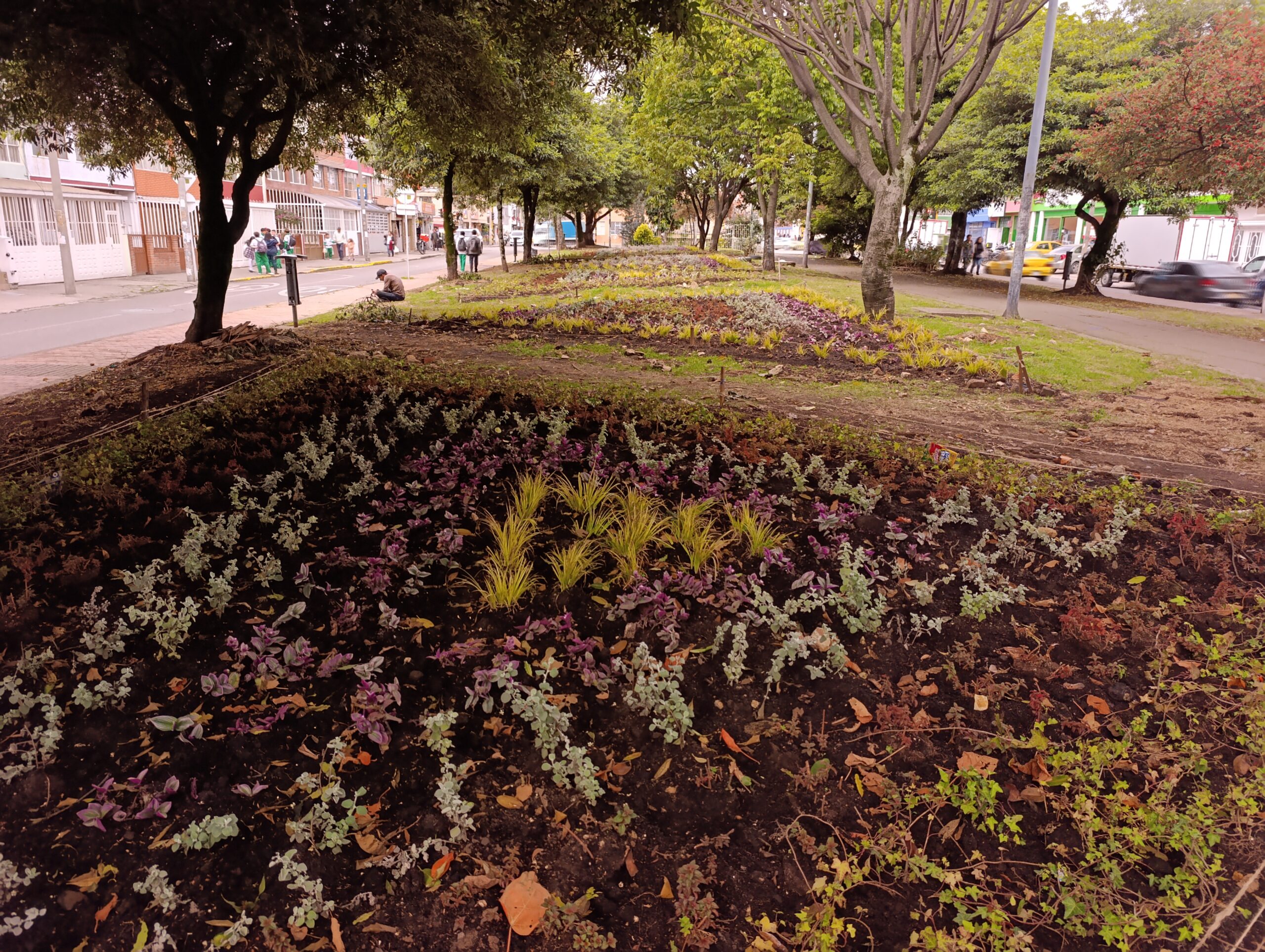 Historias del verde urbano: Las siete nuevas maravillas florales del Gustavo Restrepo Historias del verde urbano: Las siete nuevas maravillas florales del Gustavo Restrepo