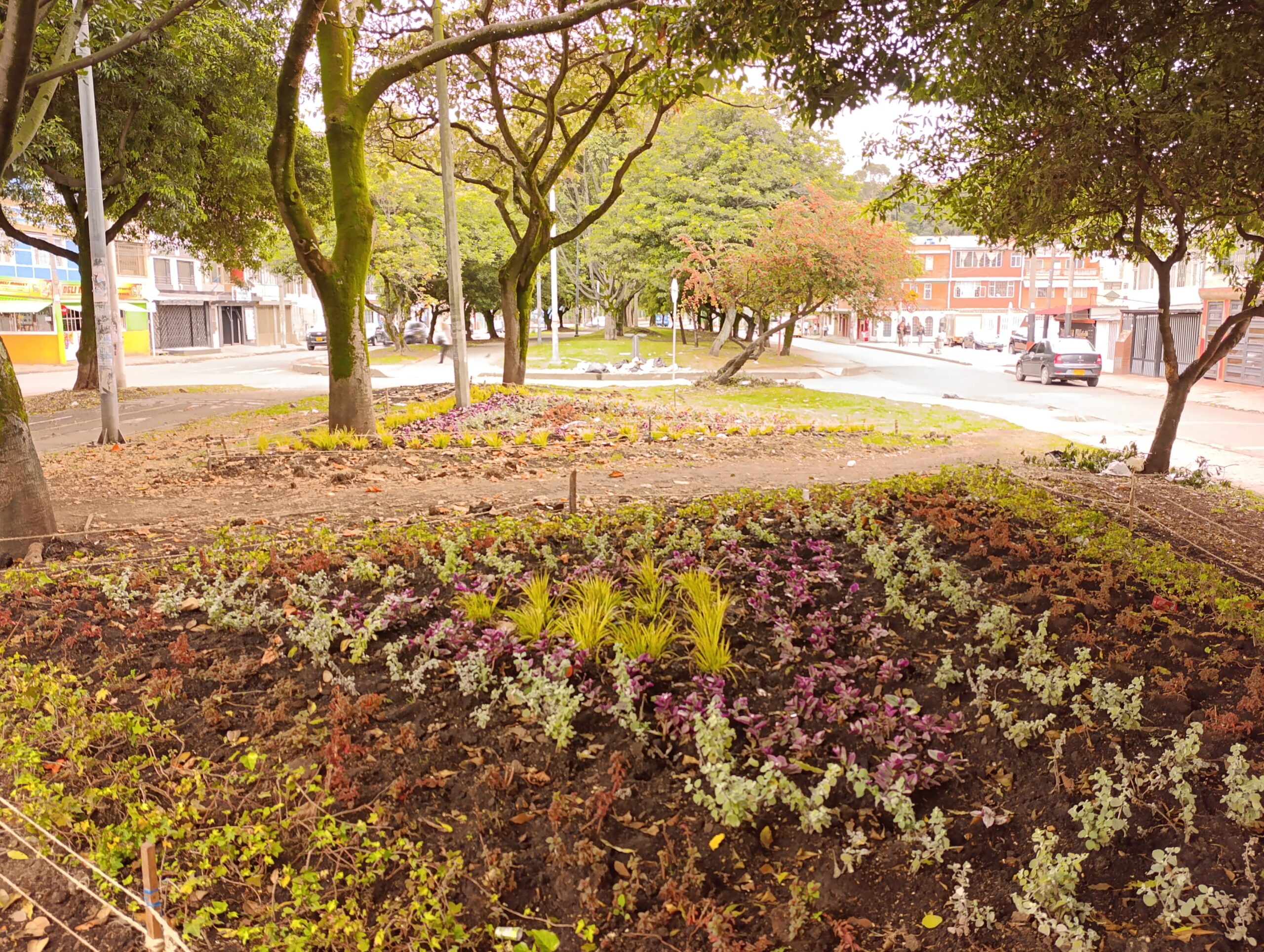 Historias del verde urbano: Las siete nuevas maravillas florales del Gustavo Restrepo Historias del verde urbano: Las siete nuevas maravillas florales del Gustavo Restrepo