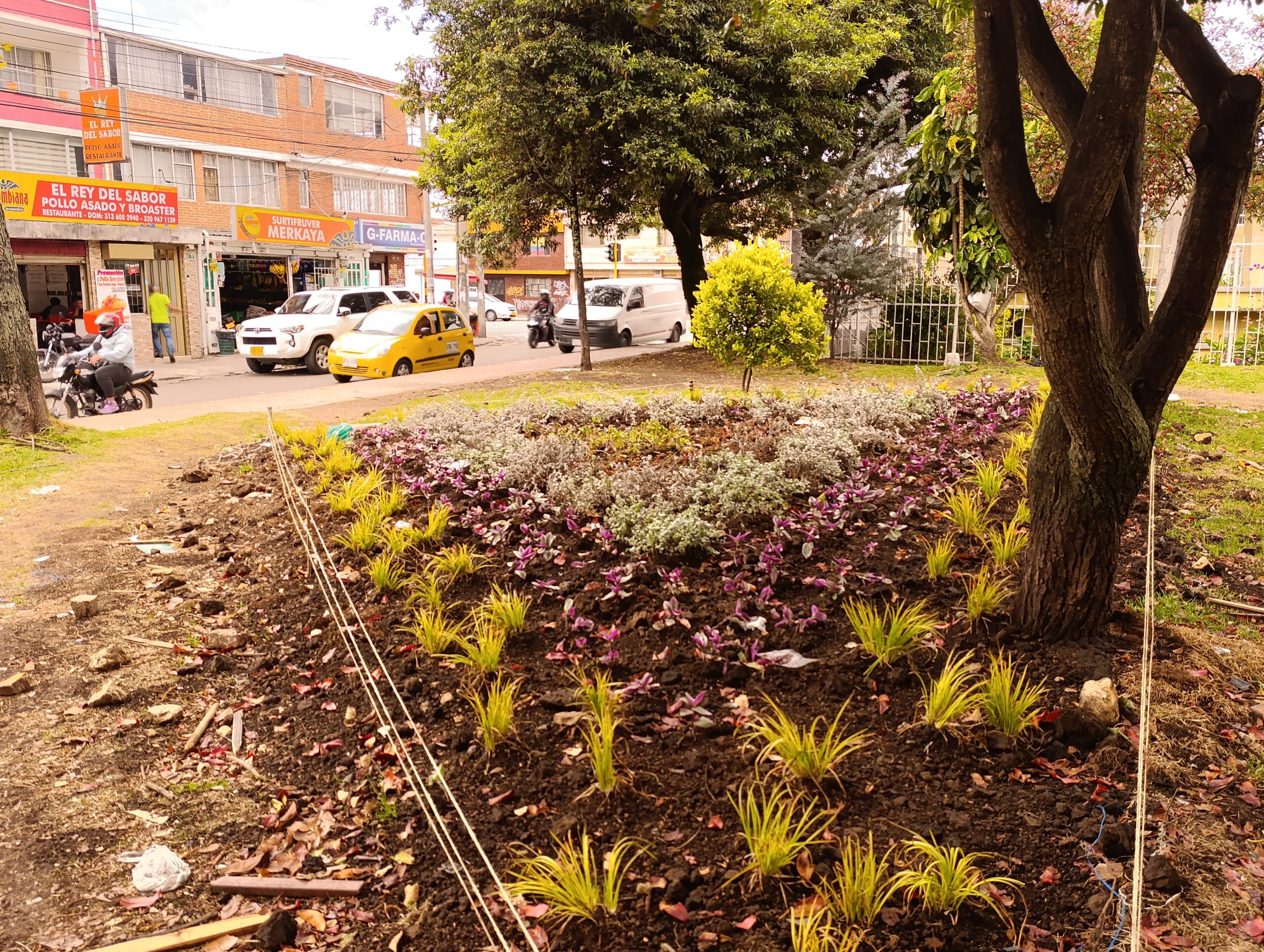 Historias del verde urbano: Las siete nuevas maravillas florales del Gustavo Restrepo Historias del verde urbano: Las siete nuevas maravillas florales del Gustavo Restrepo