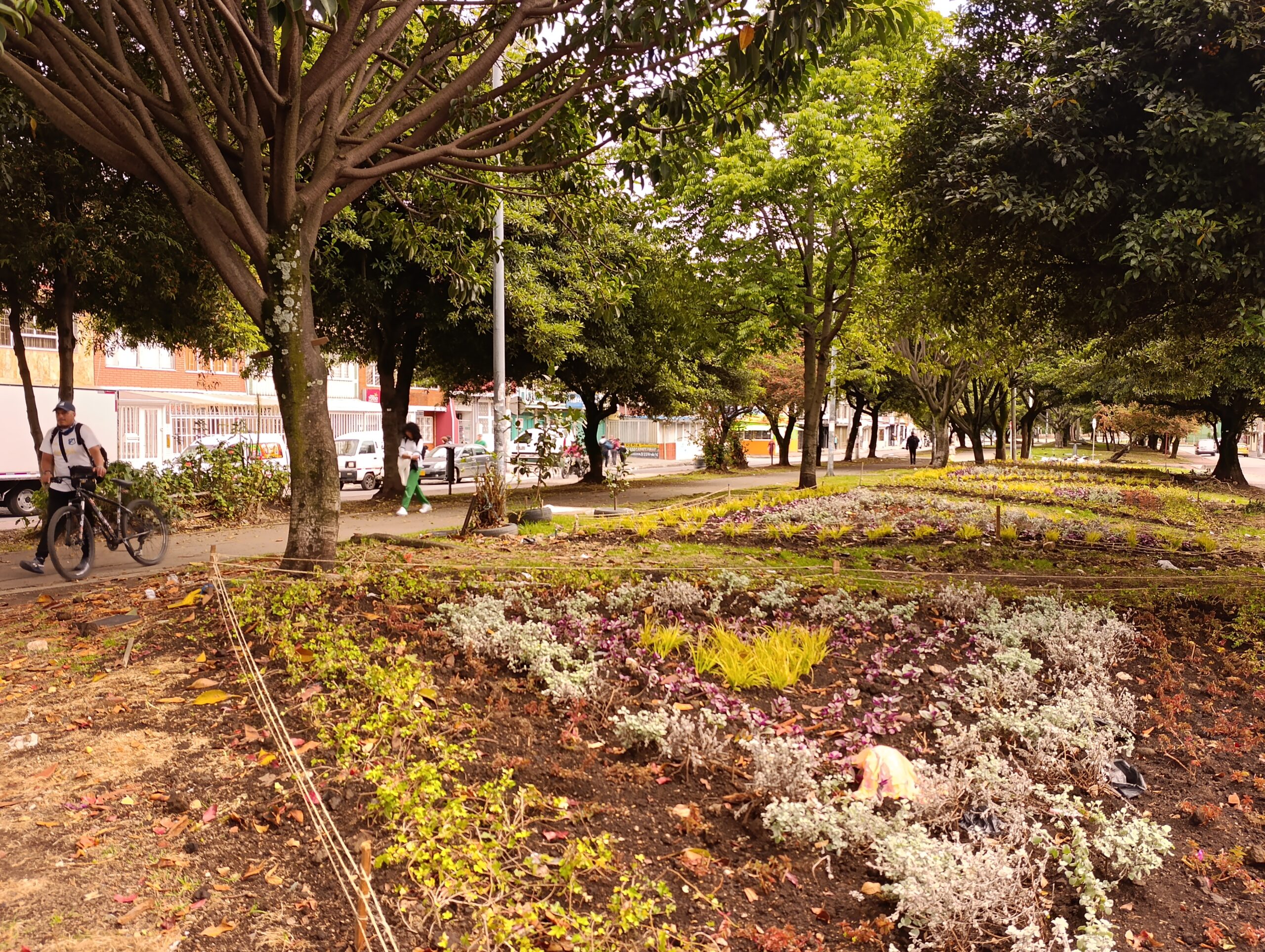 Historias del verde urbano: Las siete nuevas maravillas florales del Gustavo Restrepo Historias del verde urbano: Las siete nuevas maravillas florales del Gustavo Restrepo